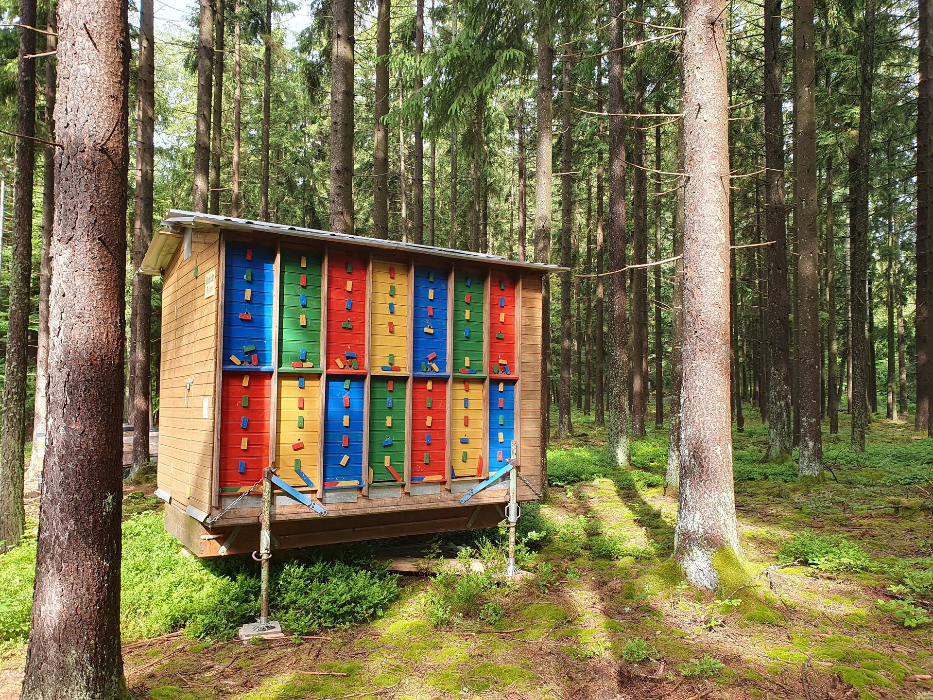 woman wearing yellow long-sleeved dress under white clouds and blue sky during daytime