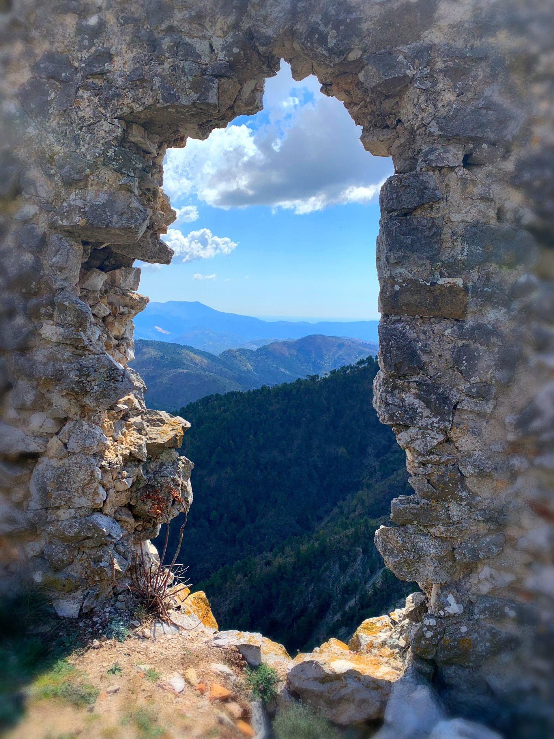 Ruine de Rocca sparviera