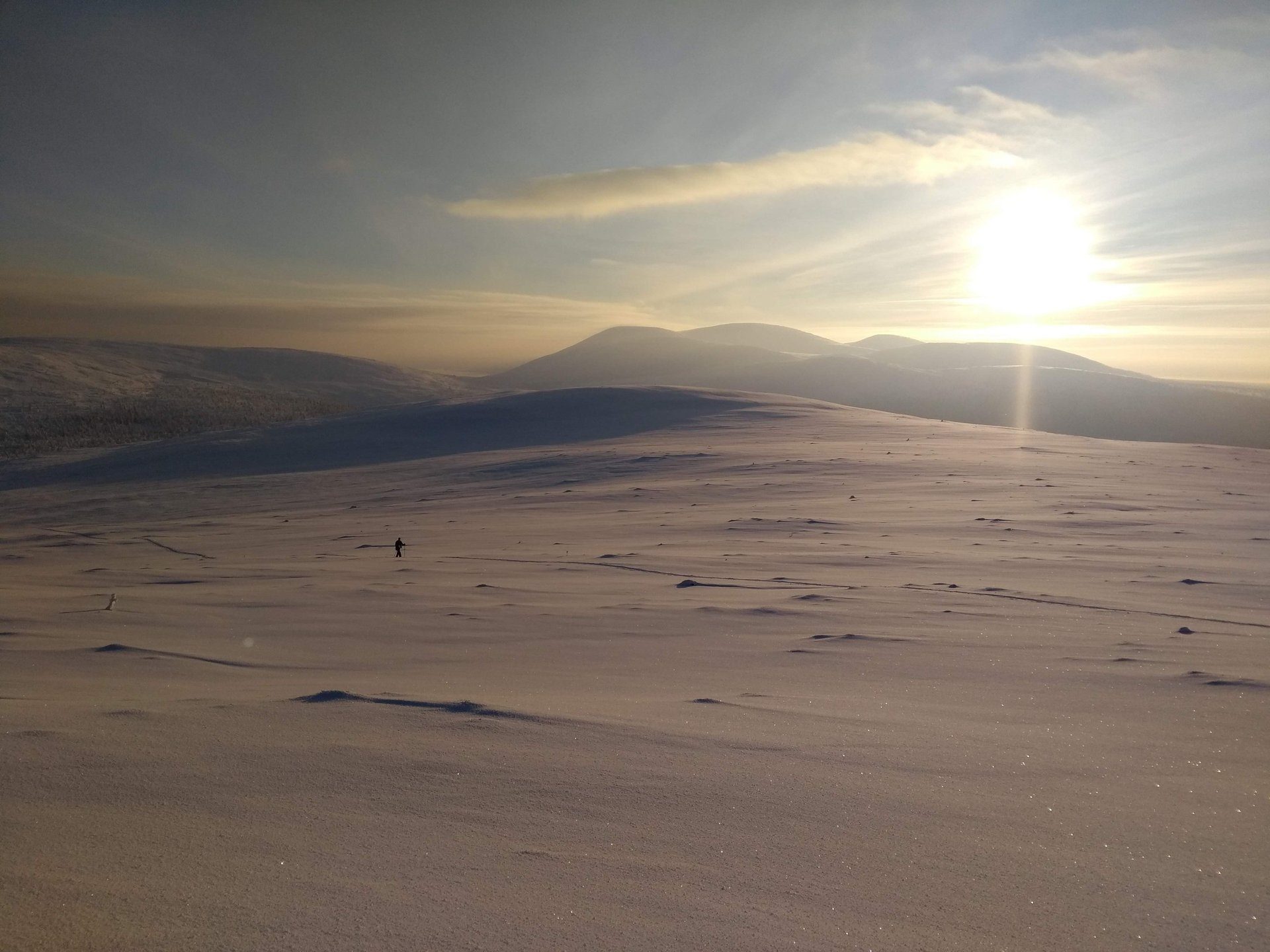 black and brown leather padded tub sofa