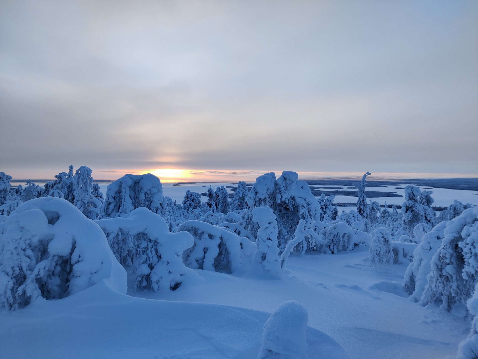 snowy lanscape of lapland during sunset