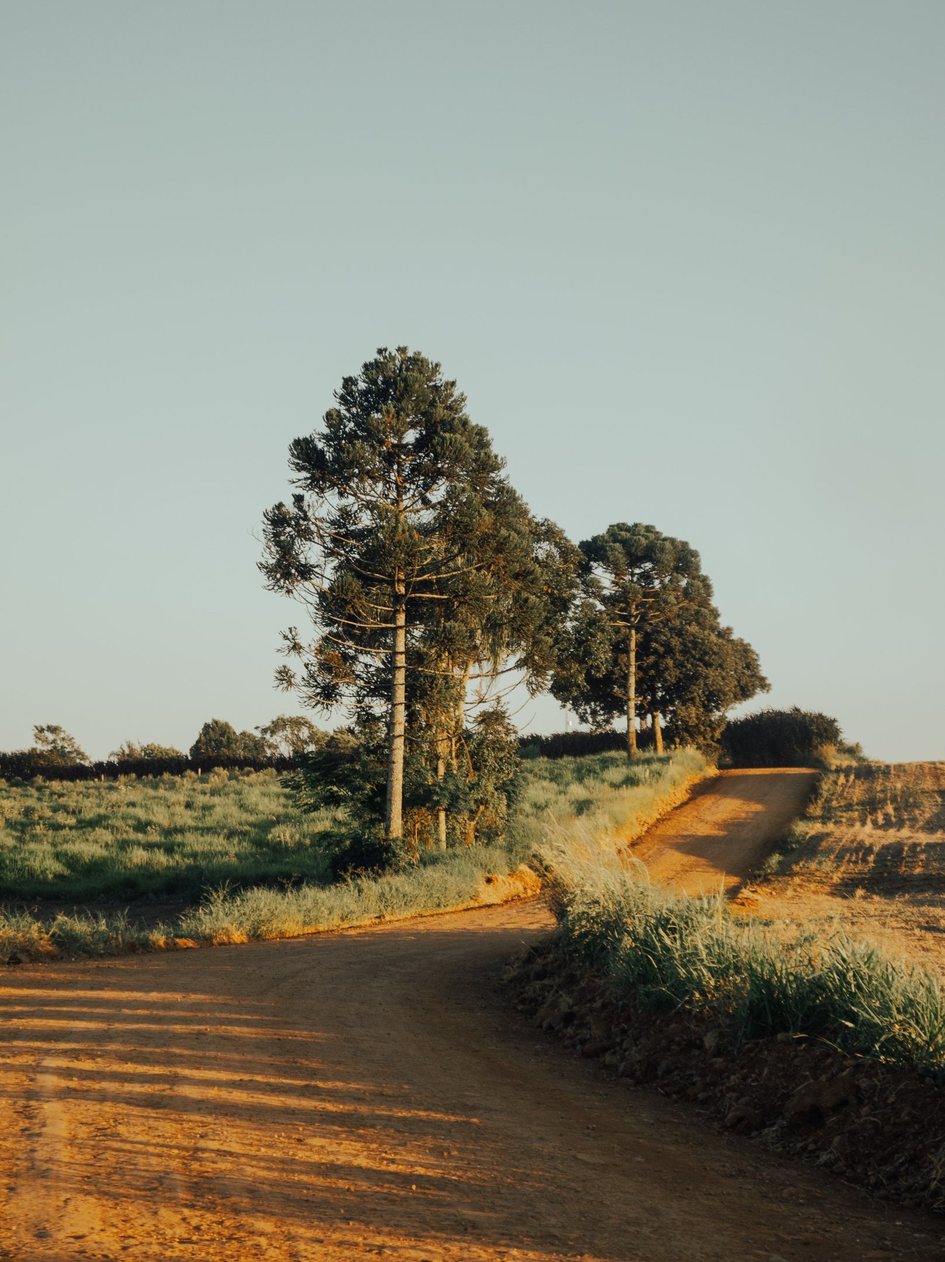 an abstract photo of a curved building with a blue sky in the background