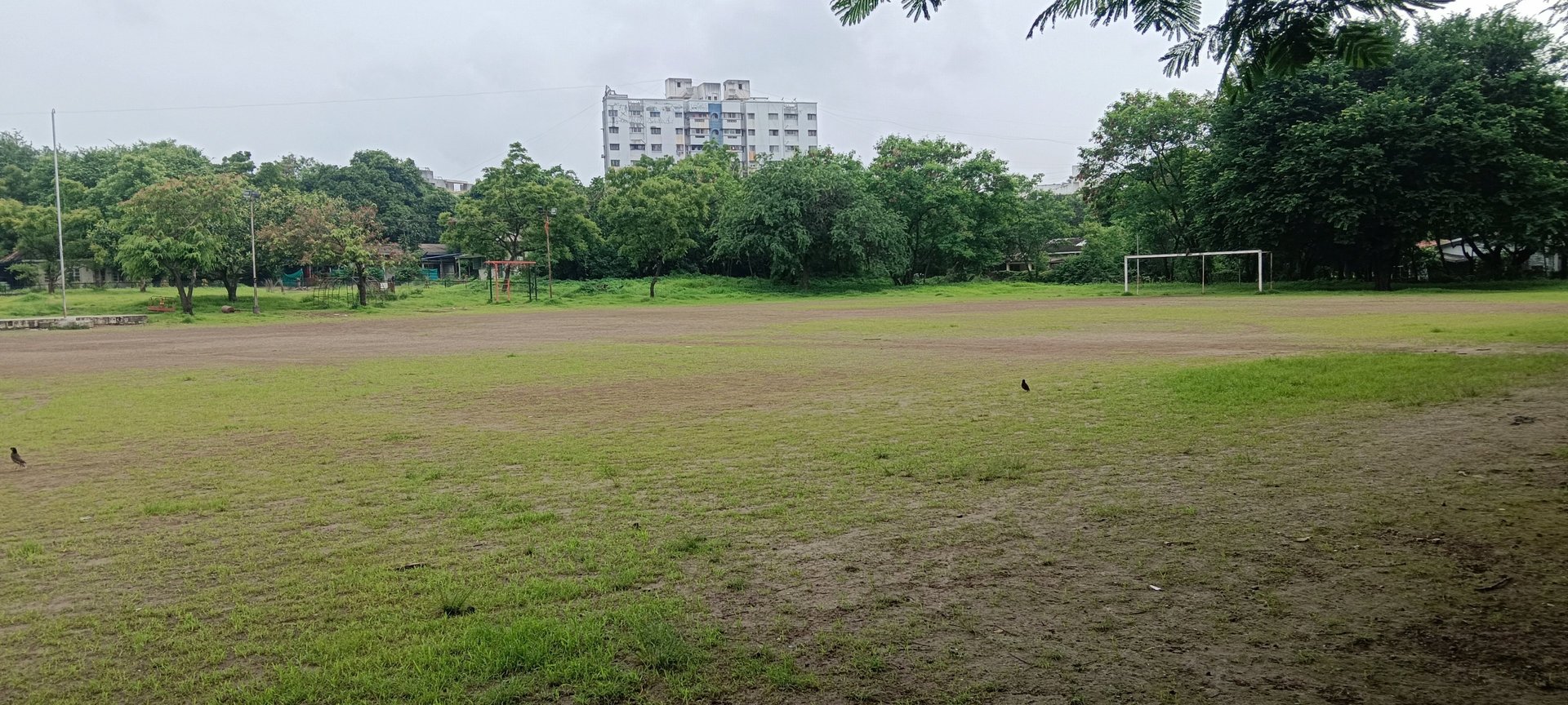 gray computer monitor