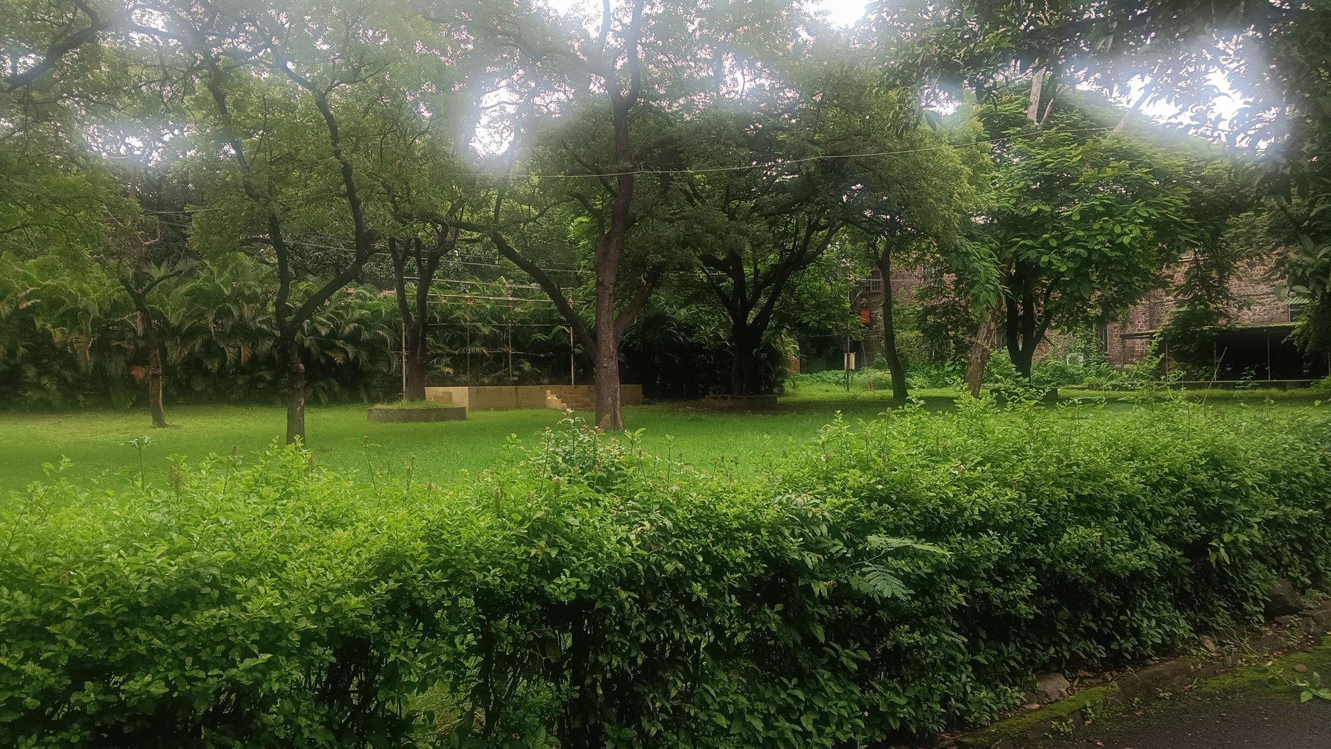 black and brown leather padded tub sofa