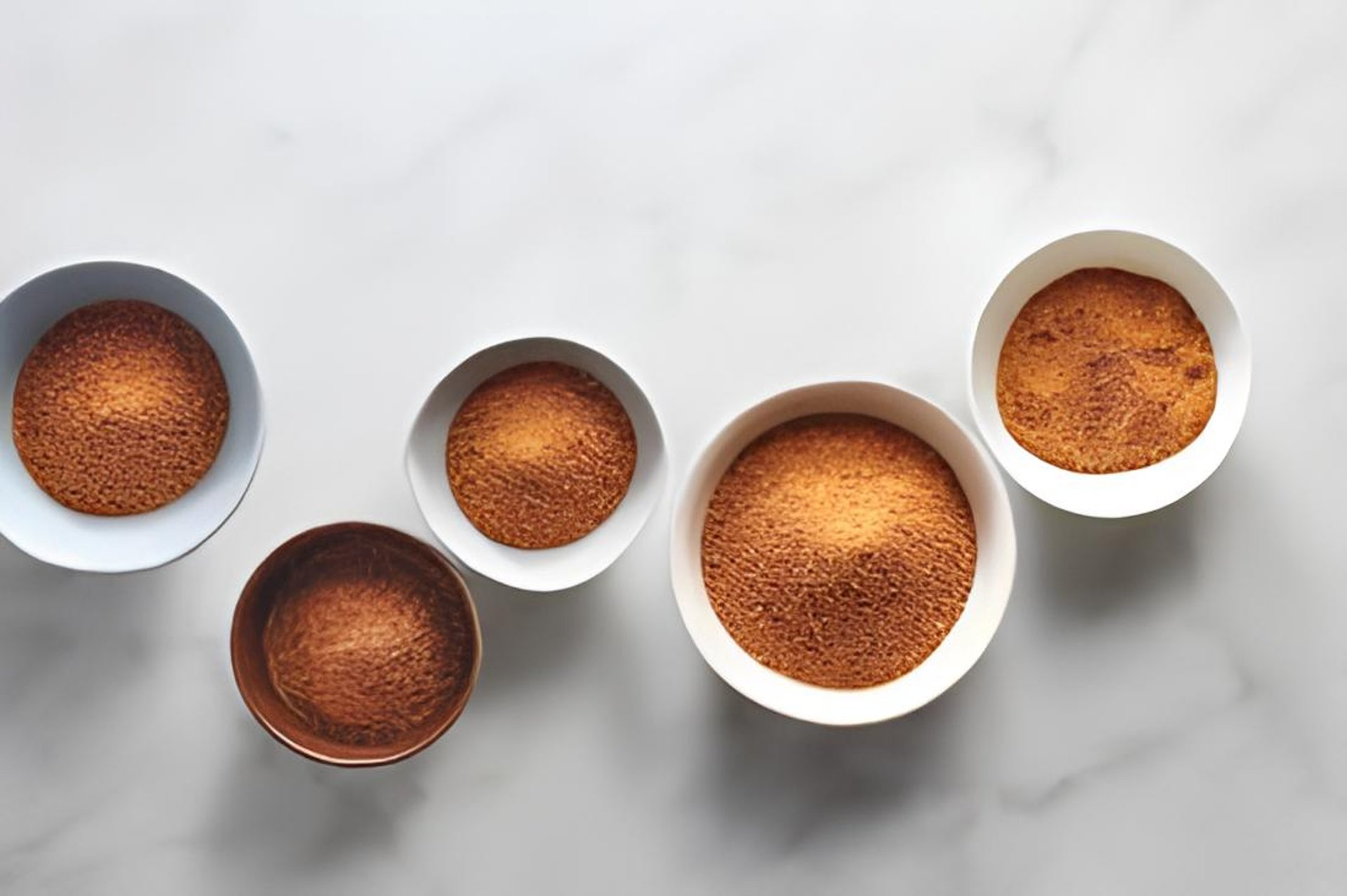 a bunch of bananas growing on a palm tree