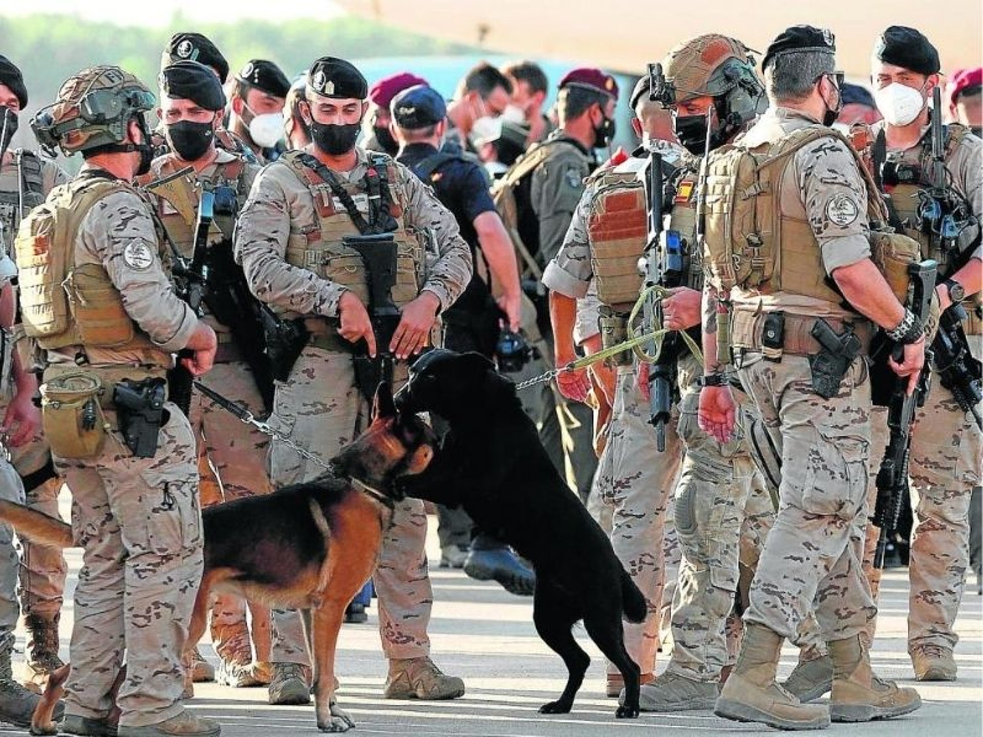 woman wearing yellow long-sleeved dress under white clouds and blue sky during daytime