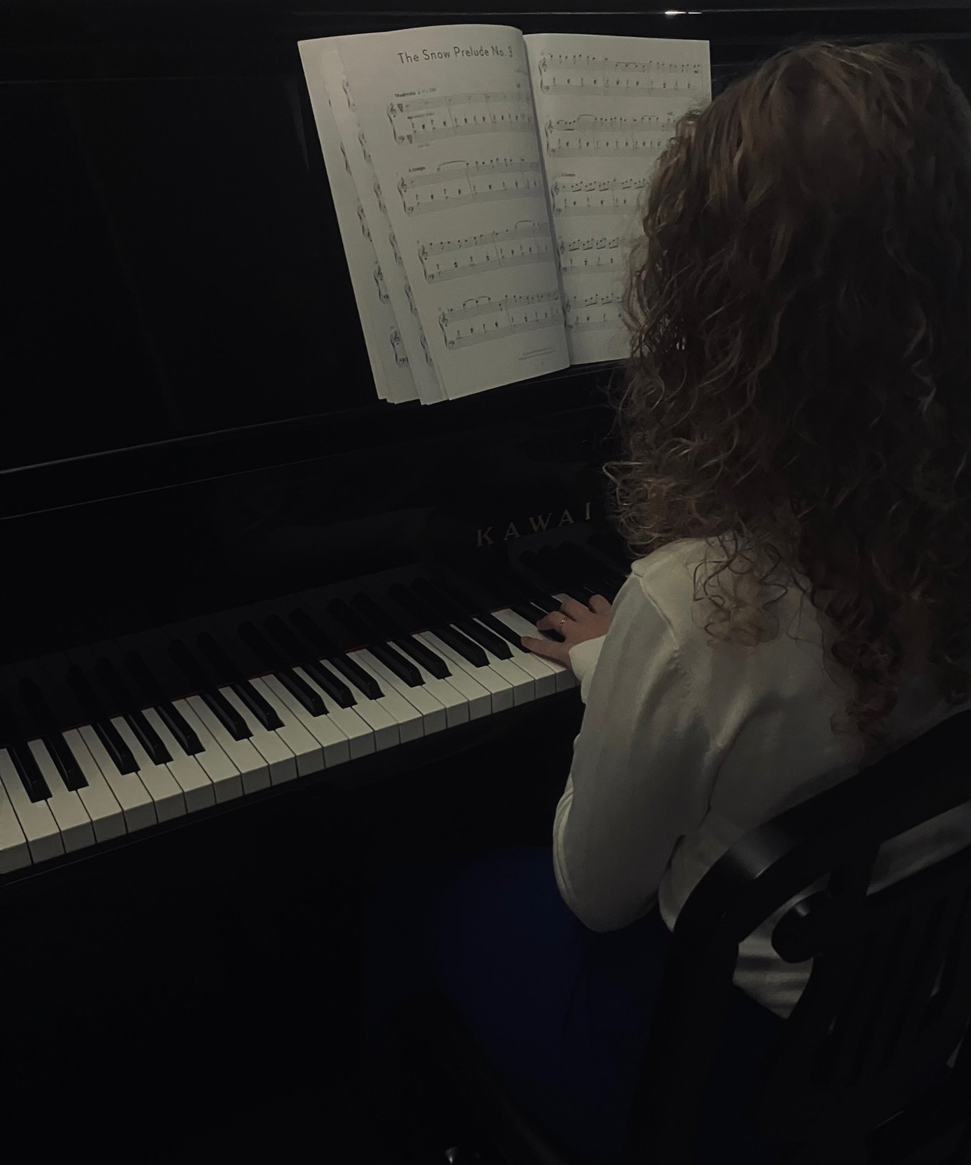 black and brown leather padded tub sofa
