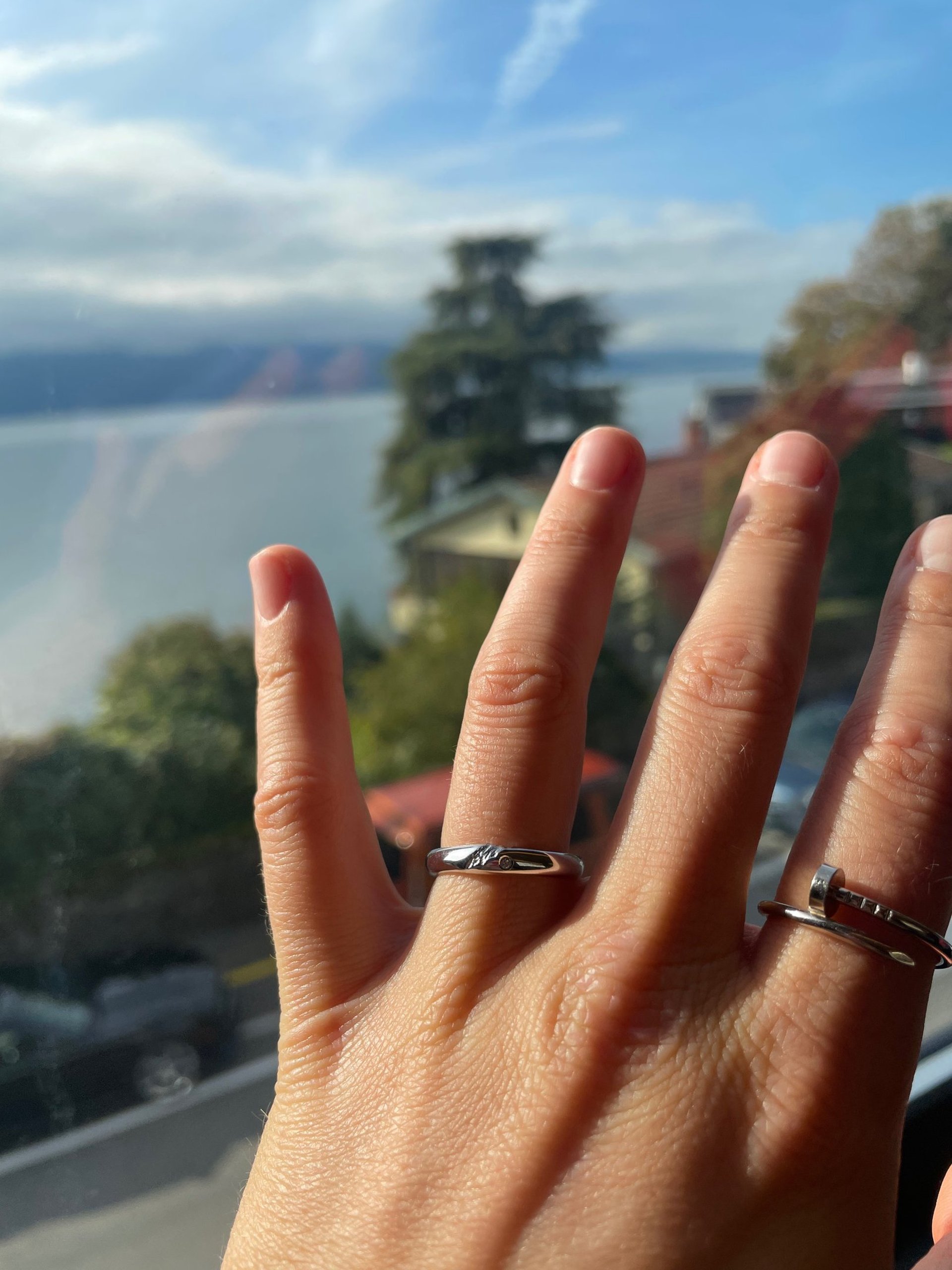 couple wearing silver-colored rings