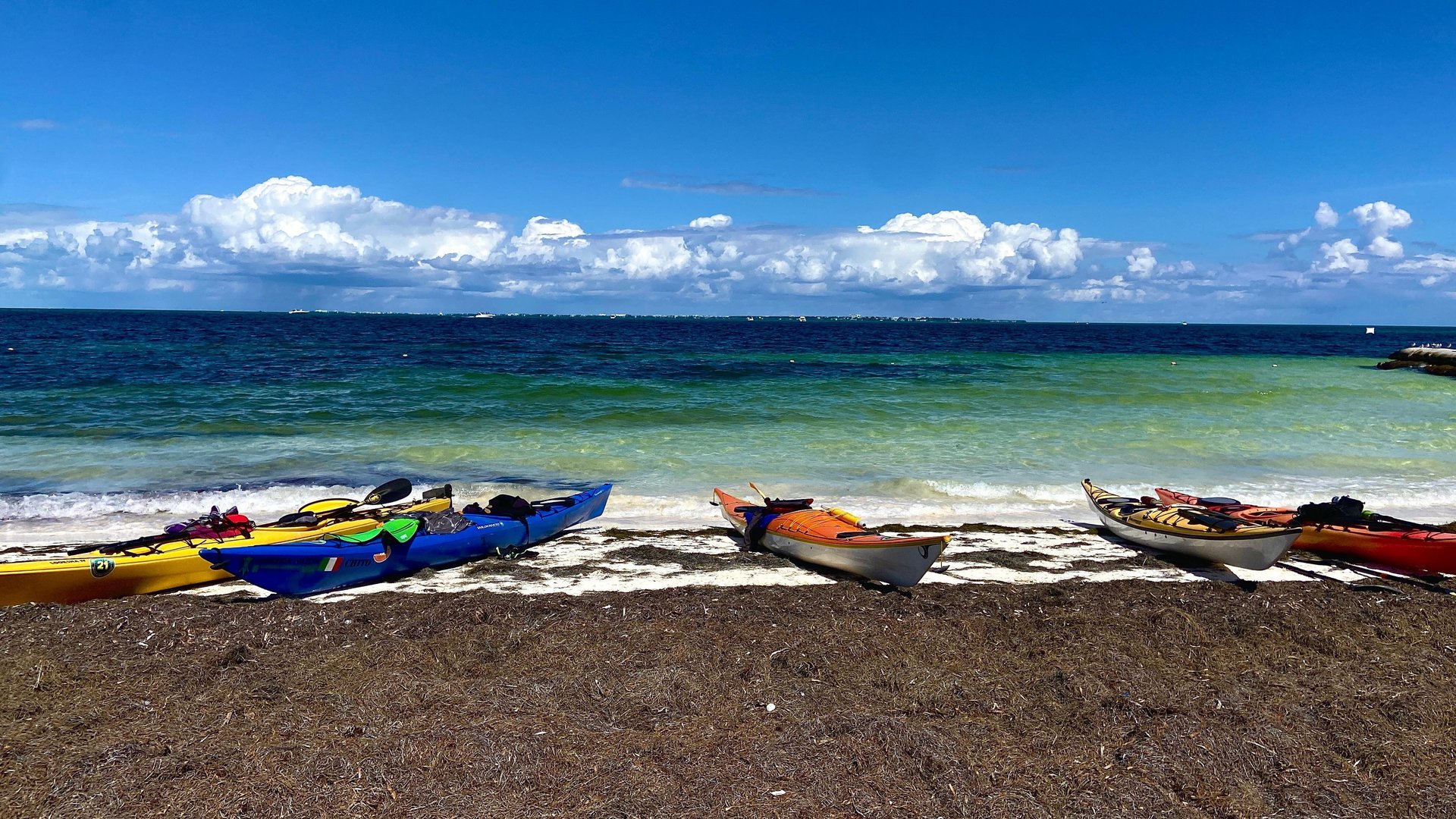 black blue and yellow textile