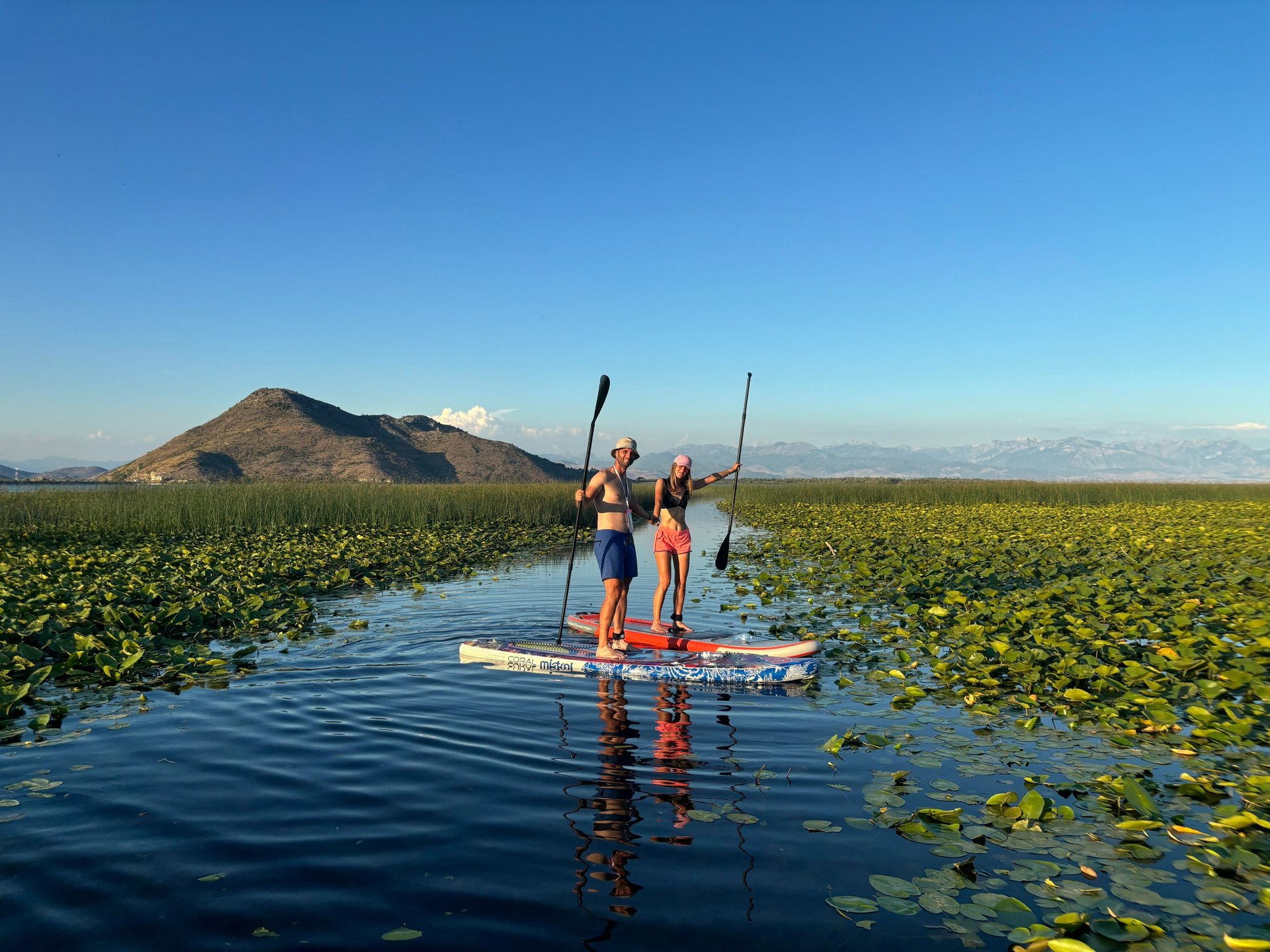 black and brown leather padded tub sofa
