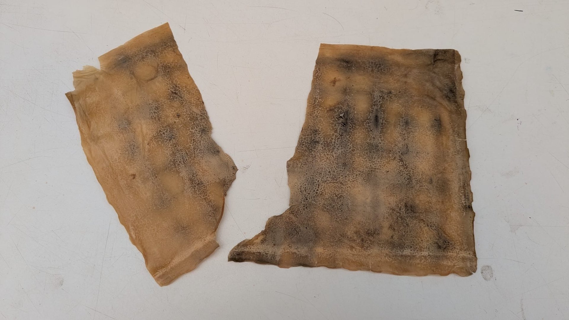 an abstract photo of a curved building with a blue sky in the background