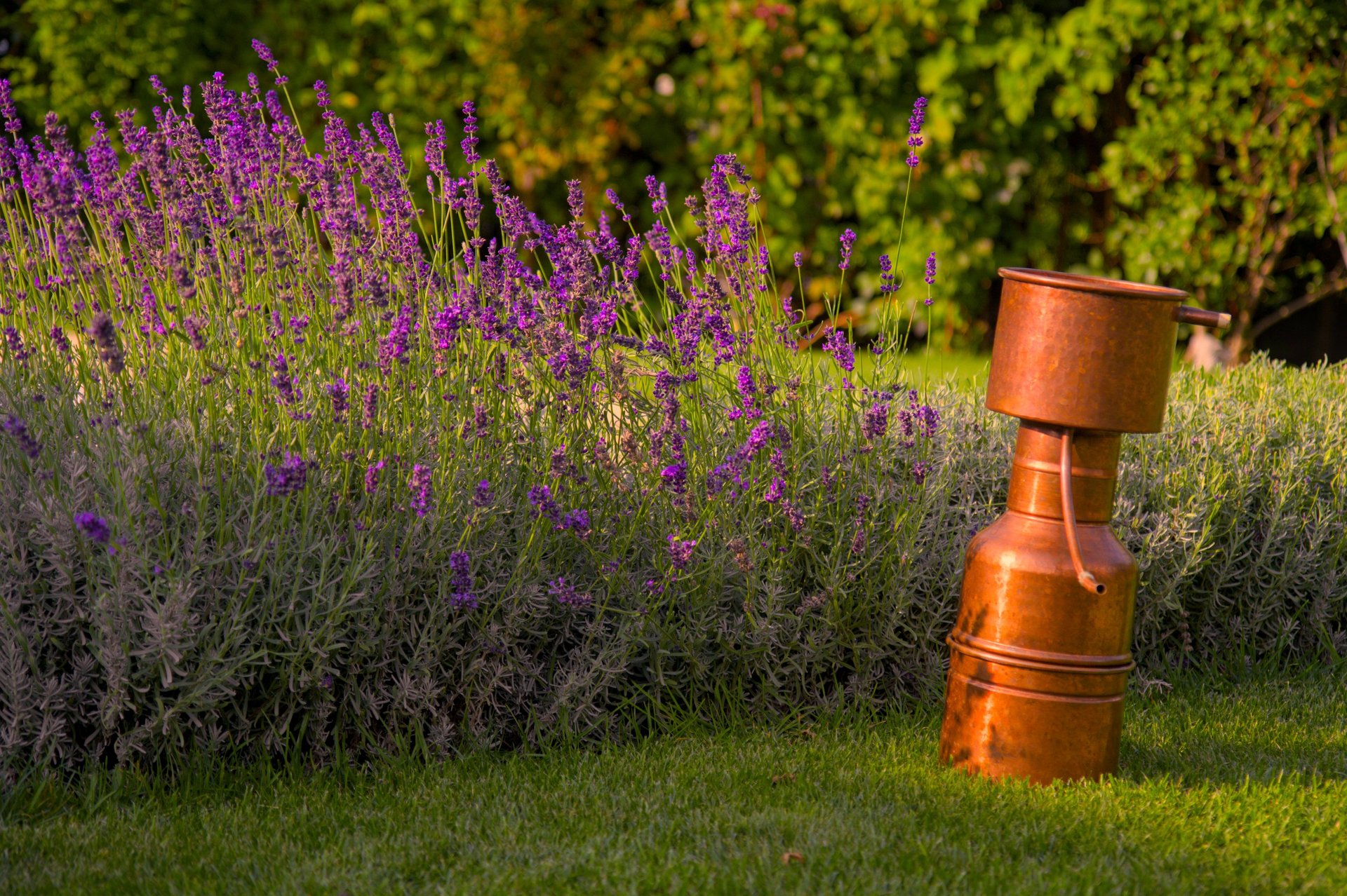 person wearing grey knit sweater