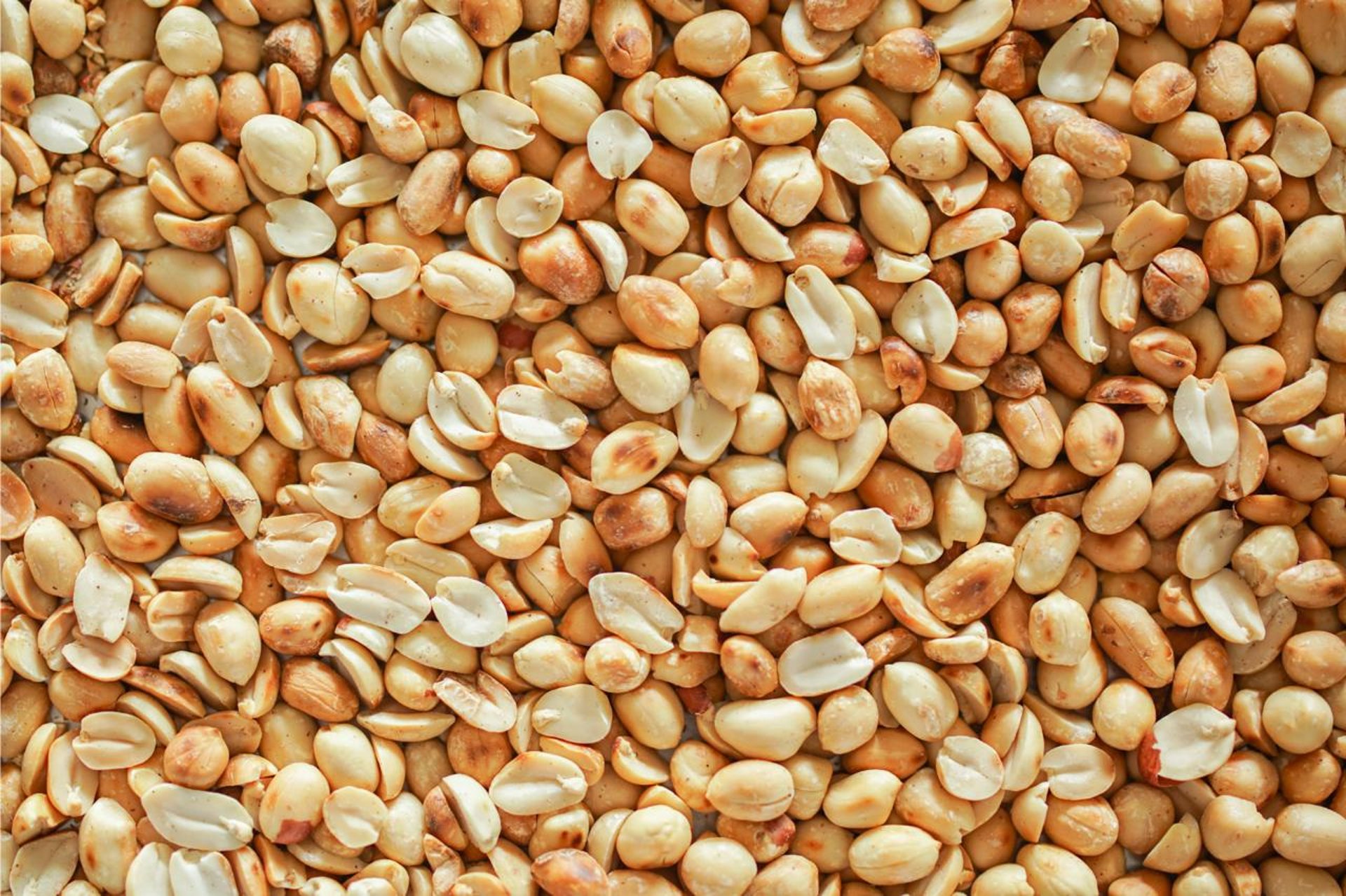 mountain range under blue sky