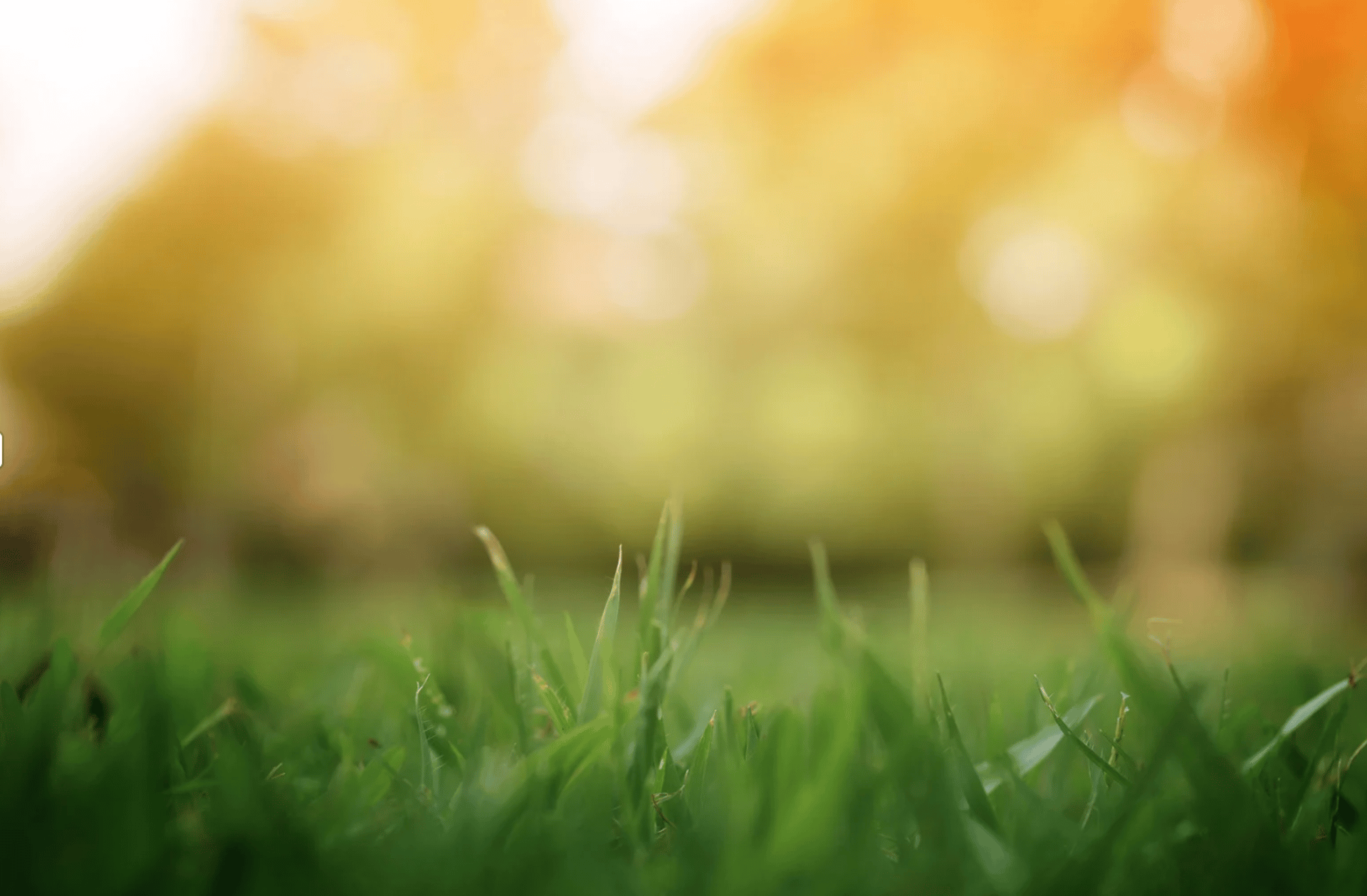 two people sitting on pavement facing on body of water