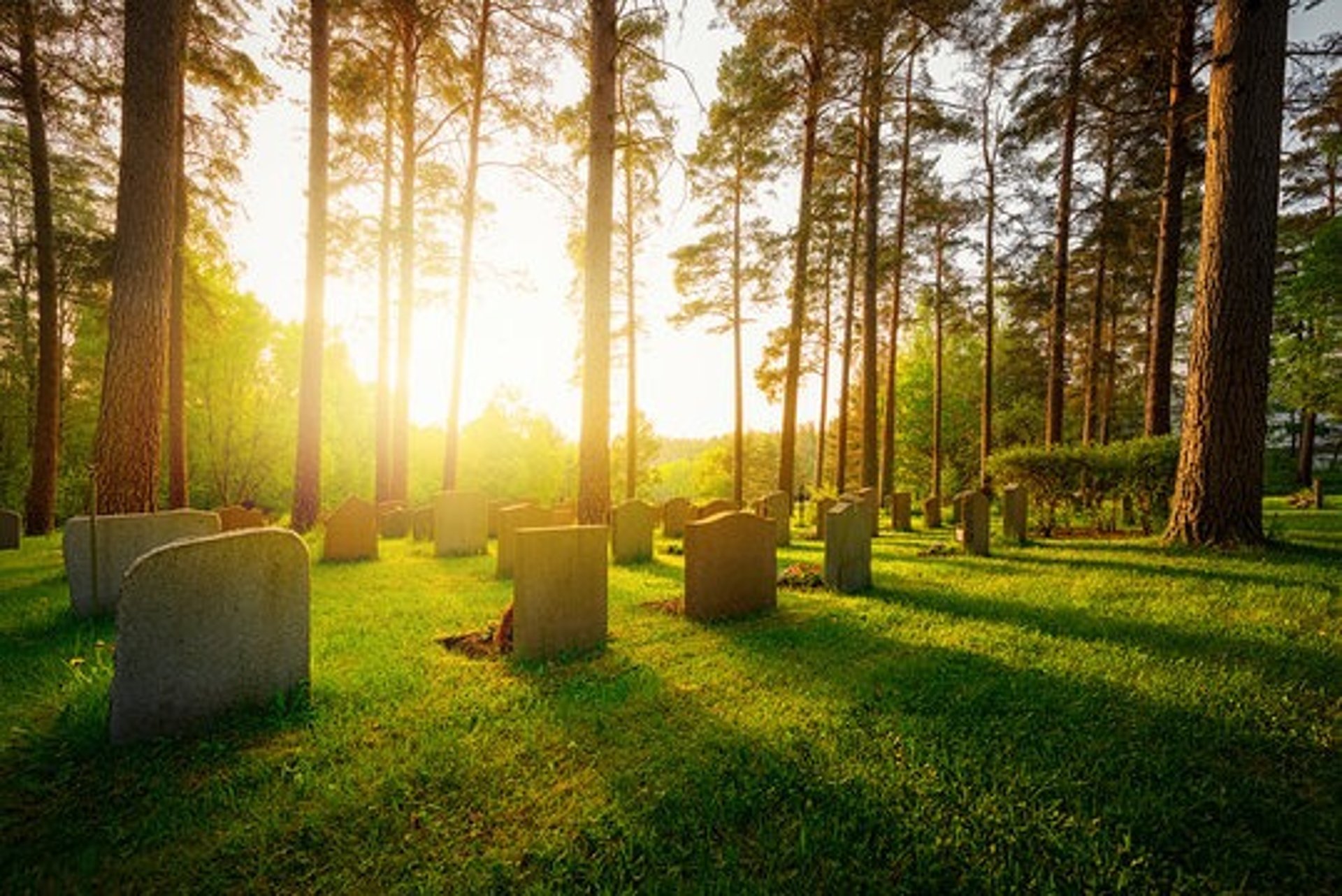 a cemetery by the ocean on a sunny day