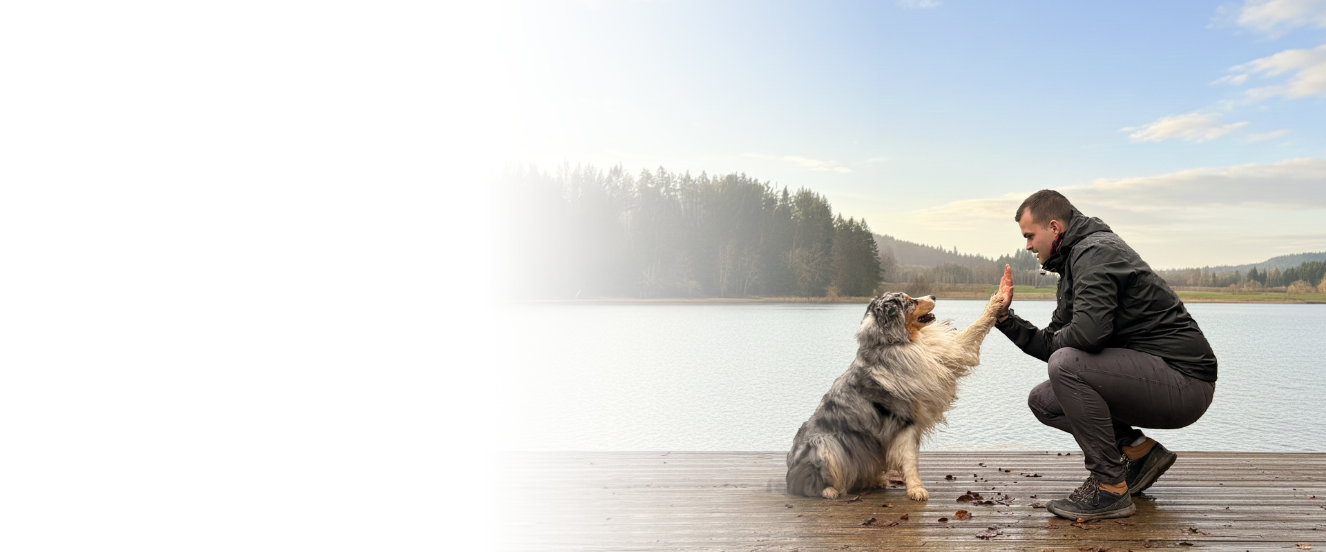 black and brown leather padded tub sofa