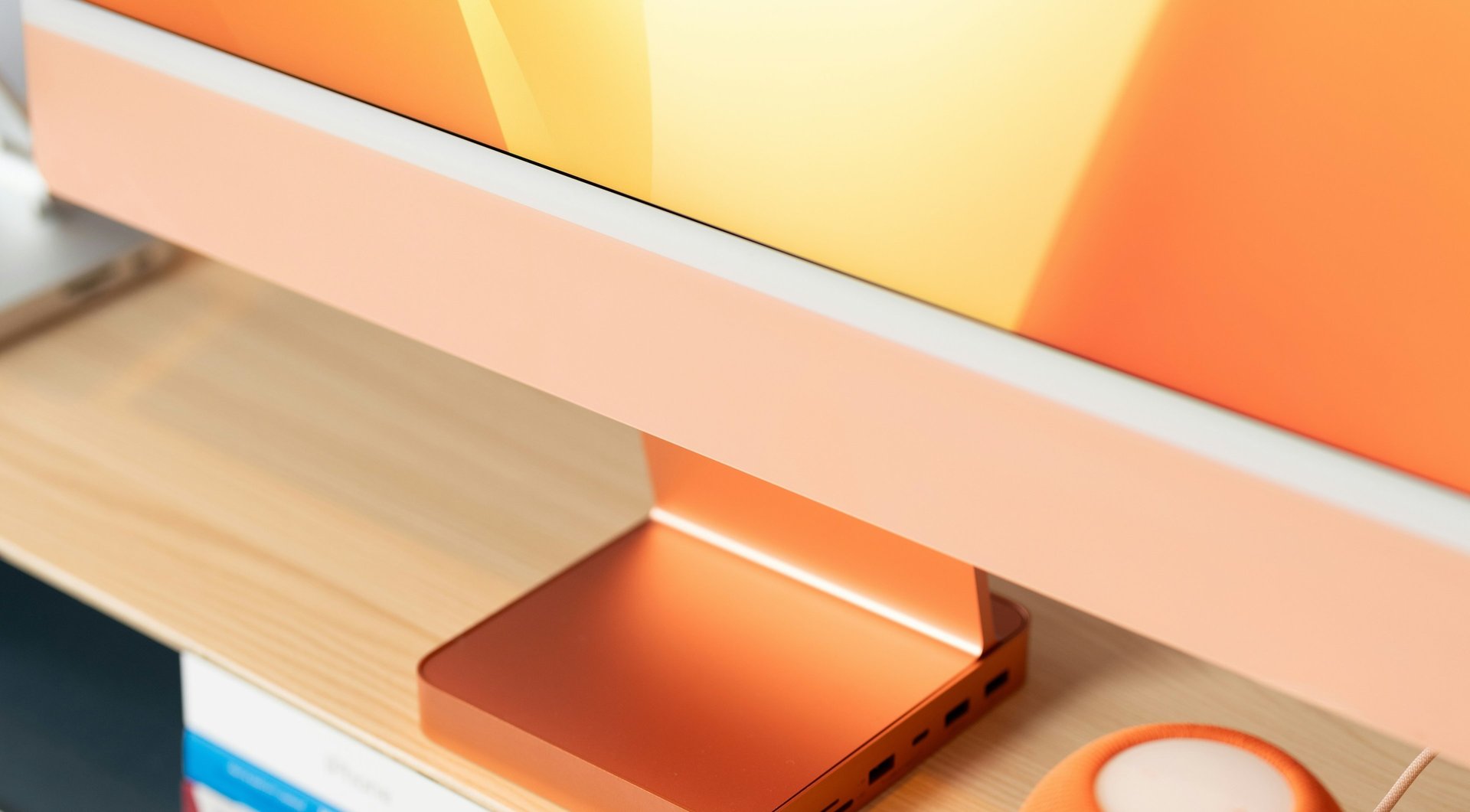 a large cactus next to a cement wall