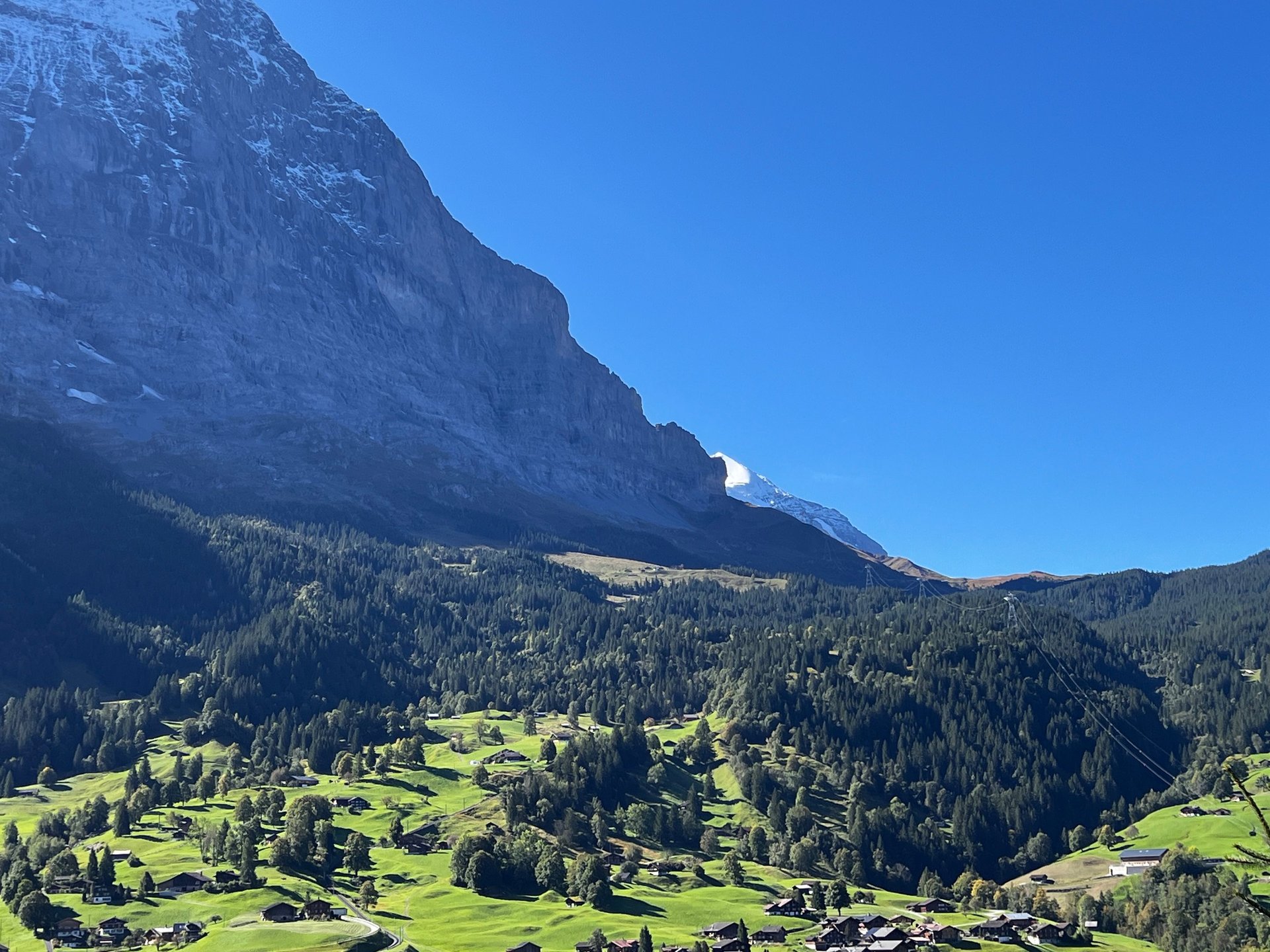 black blue and yellow textile