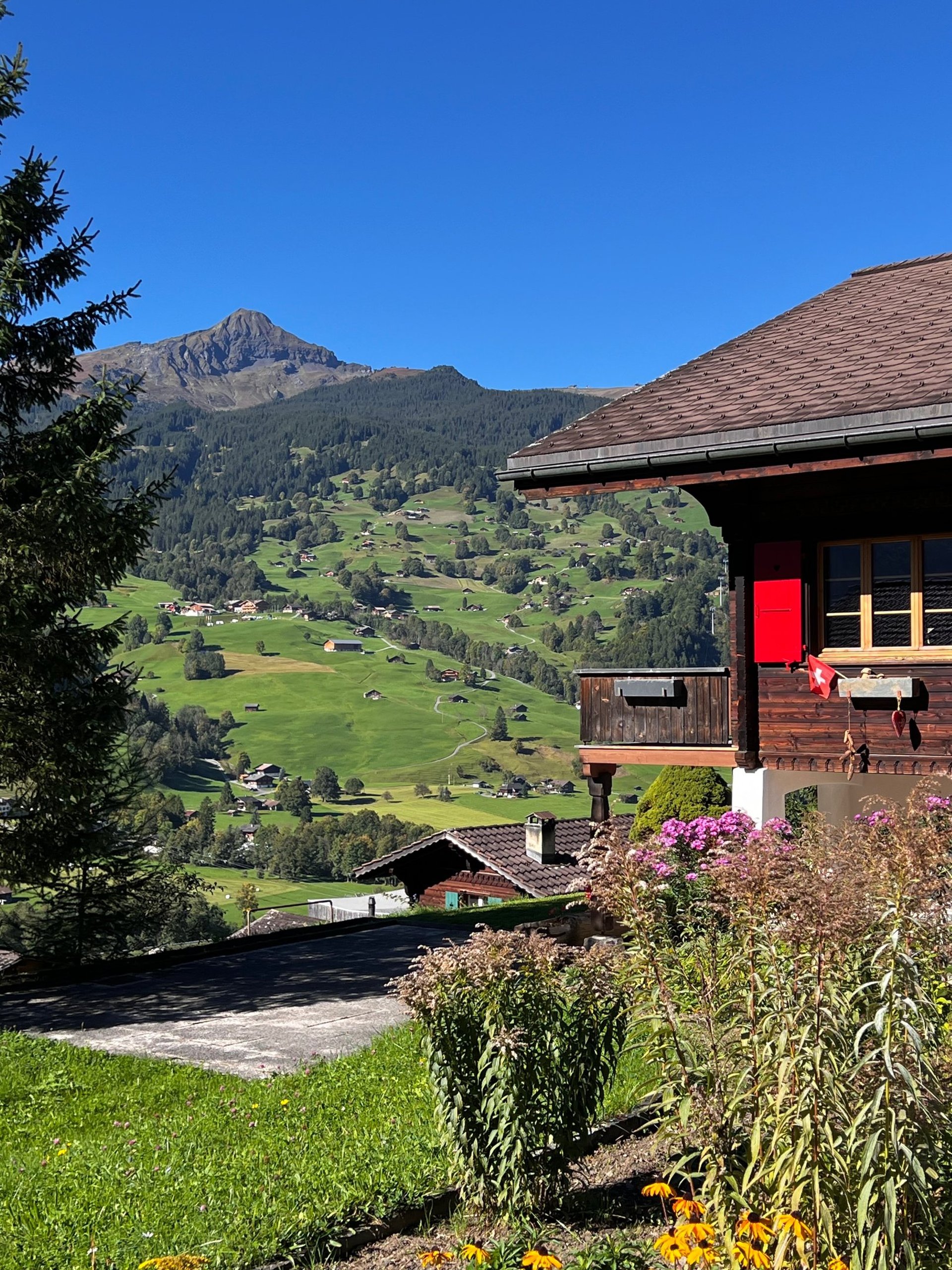black blue and yellow textile