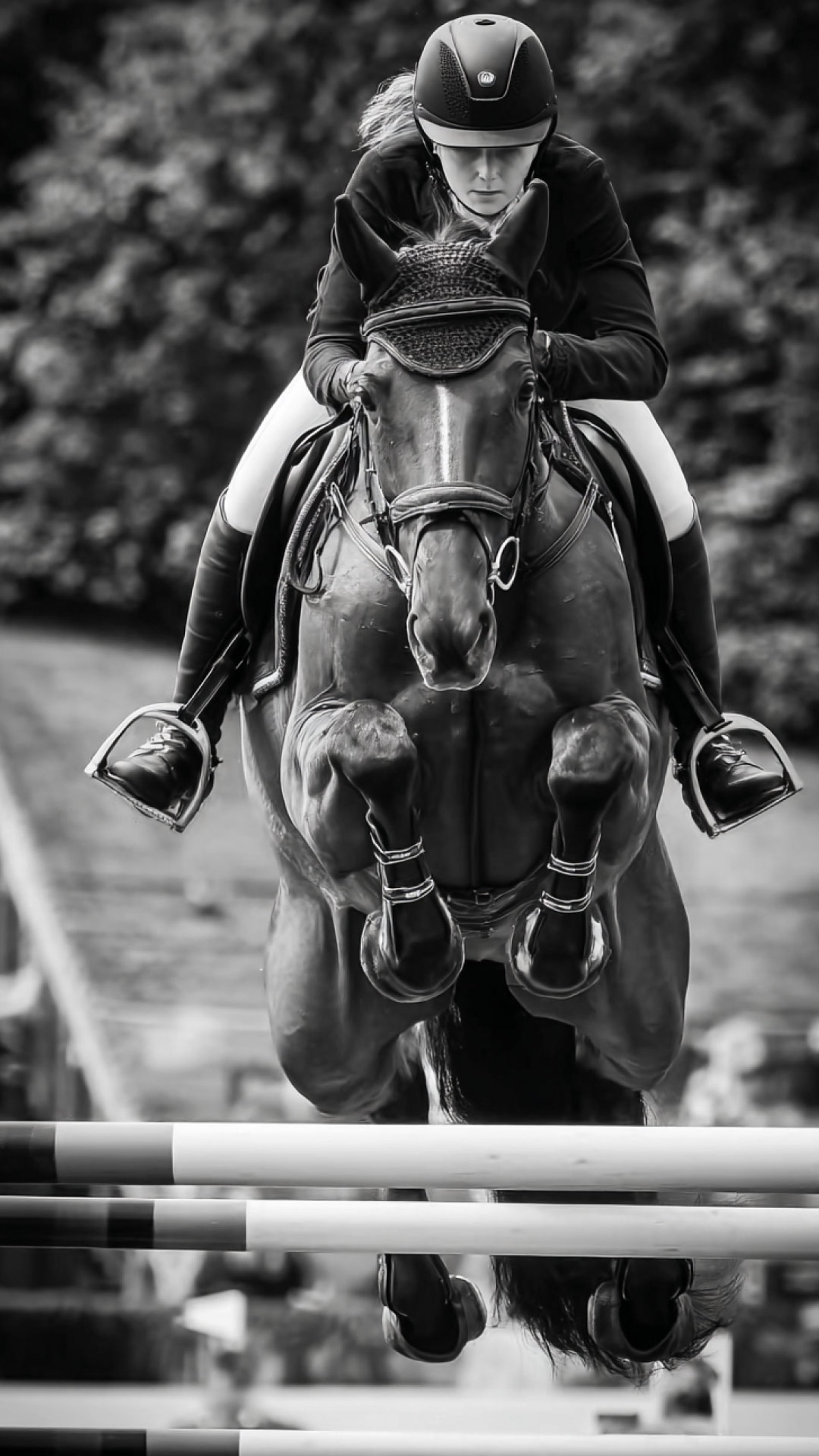 man in black and white costume riding on brown horse