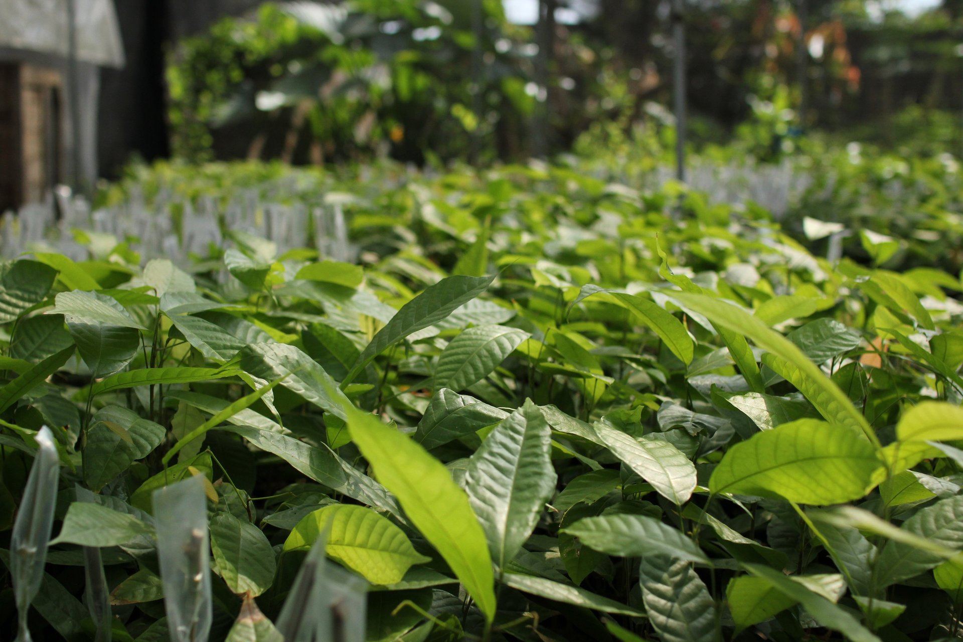 gray computer monitor