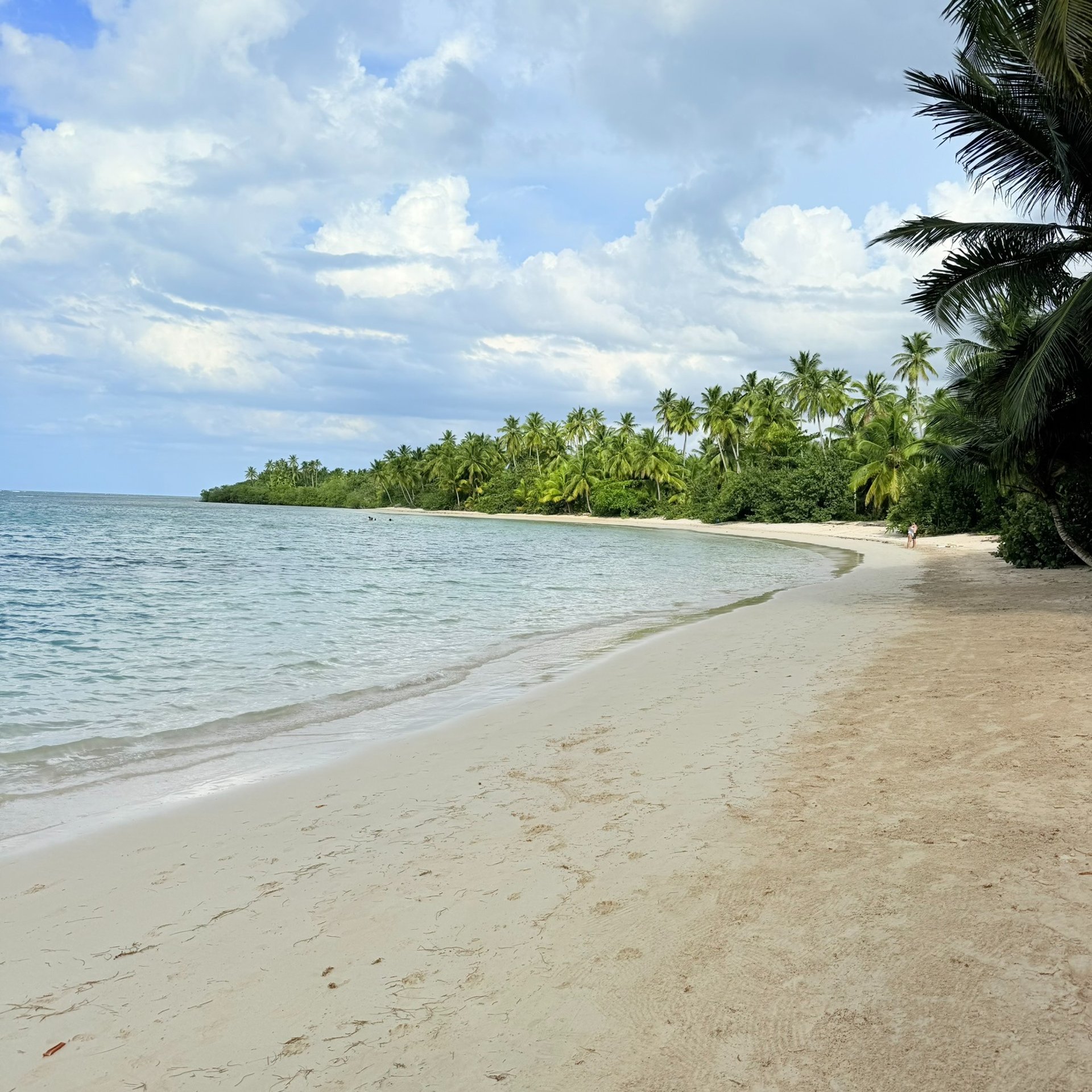 mountain range under blue sky