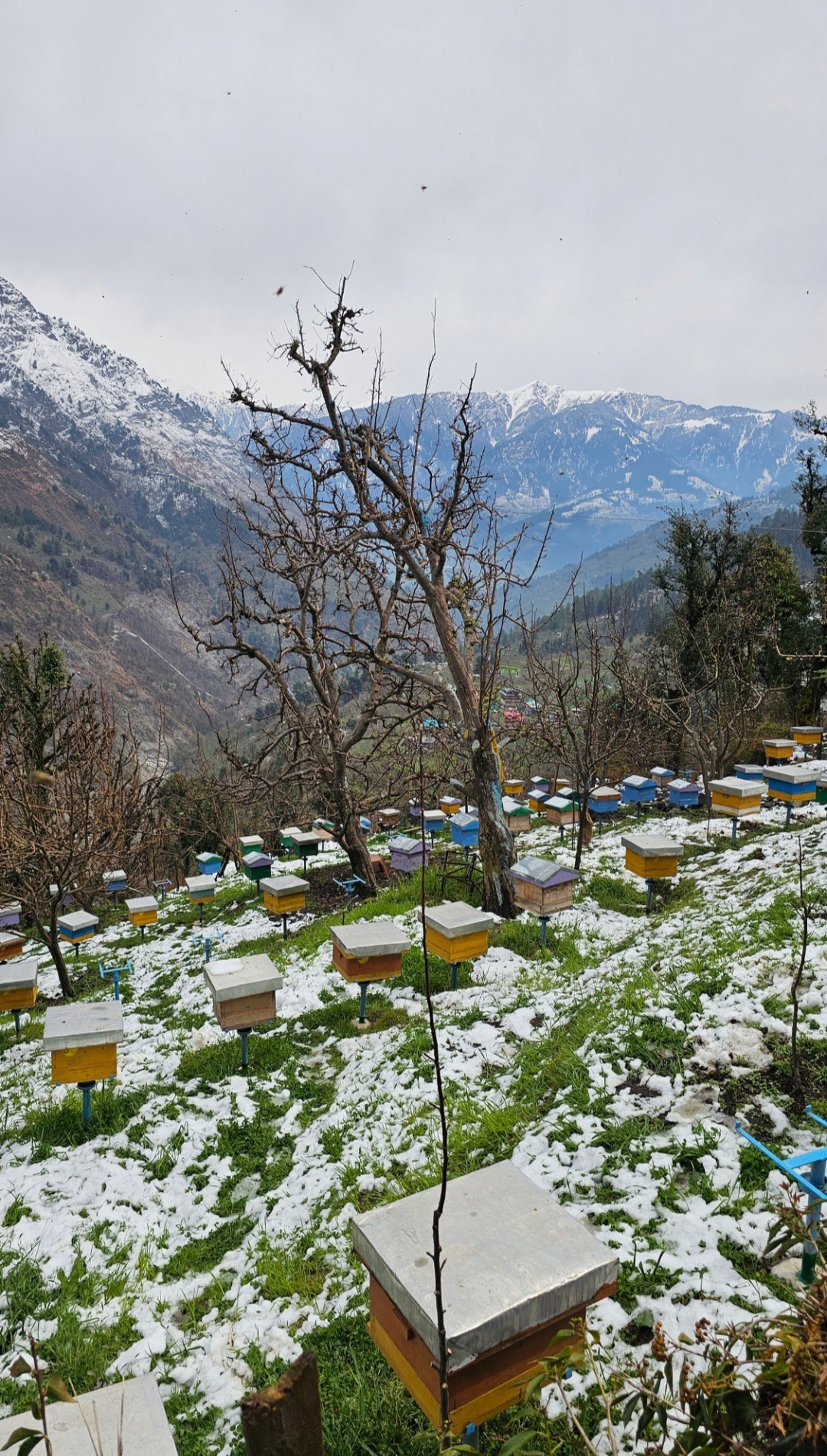 an abstract photo of a curved building with a blue sky in the background