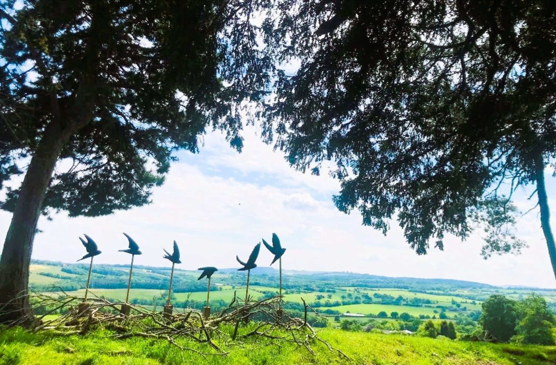 an abstract photo of a curved building with a blue sky in the background