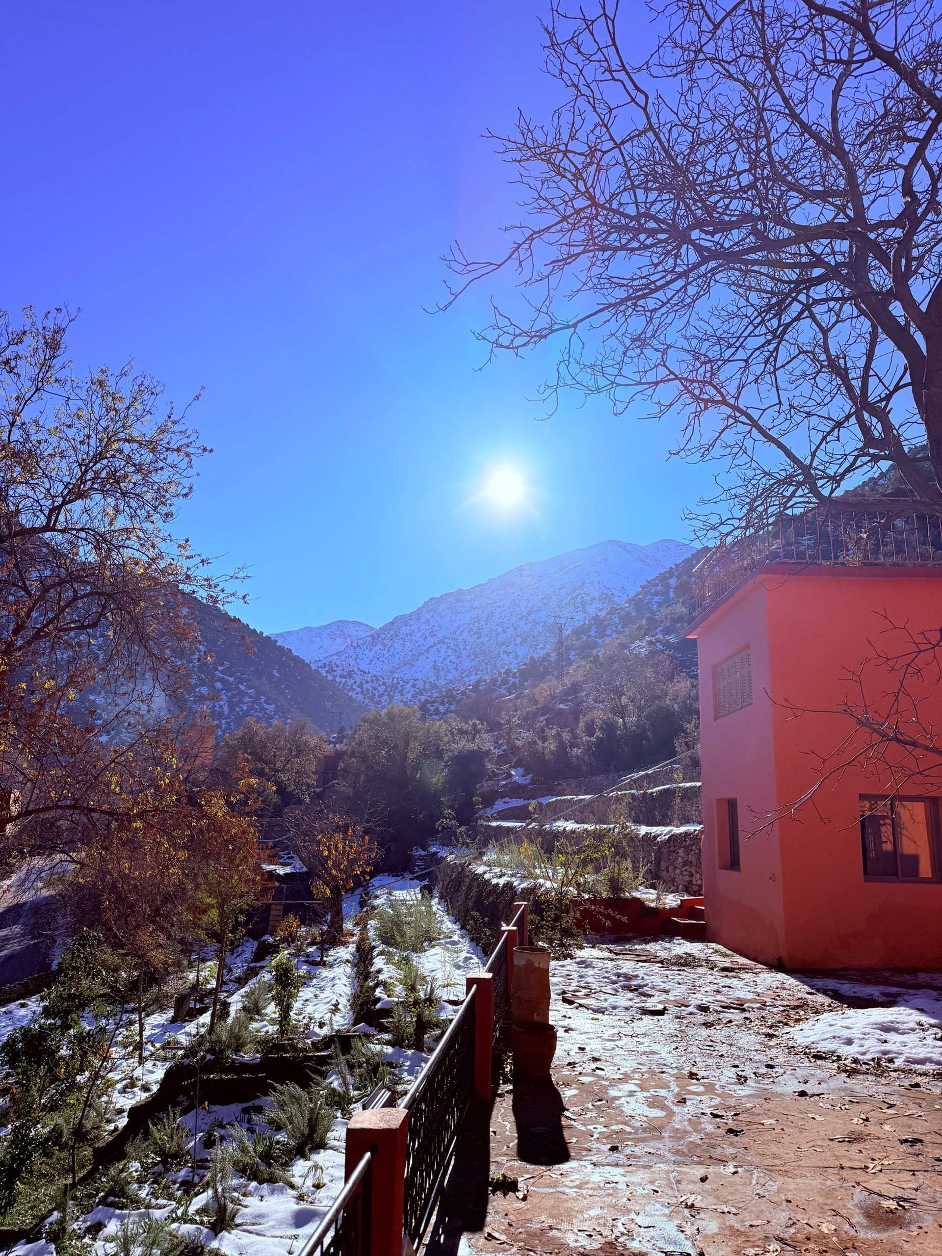 gray computer monitor