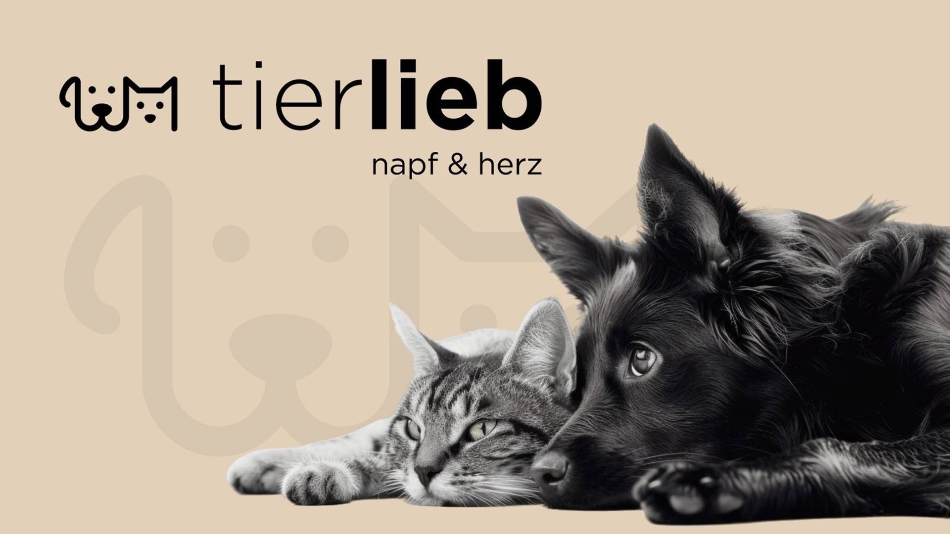 beige puppy on grass field