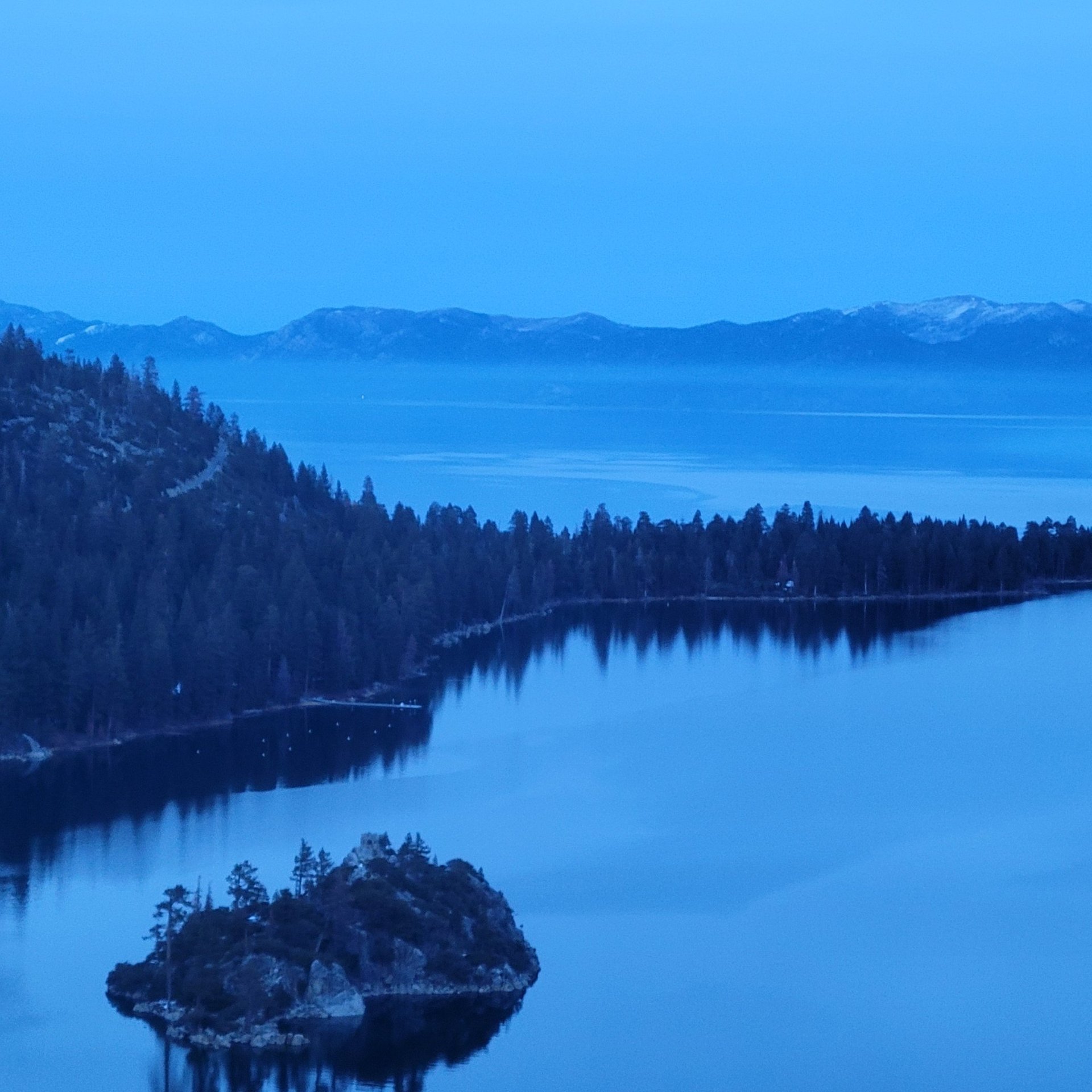 black and brown leather padded tub sofa