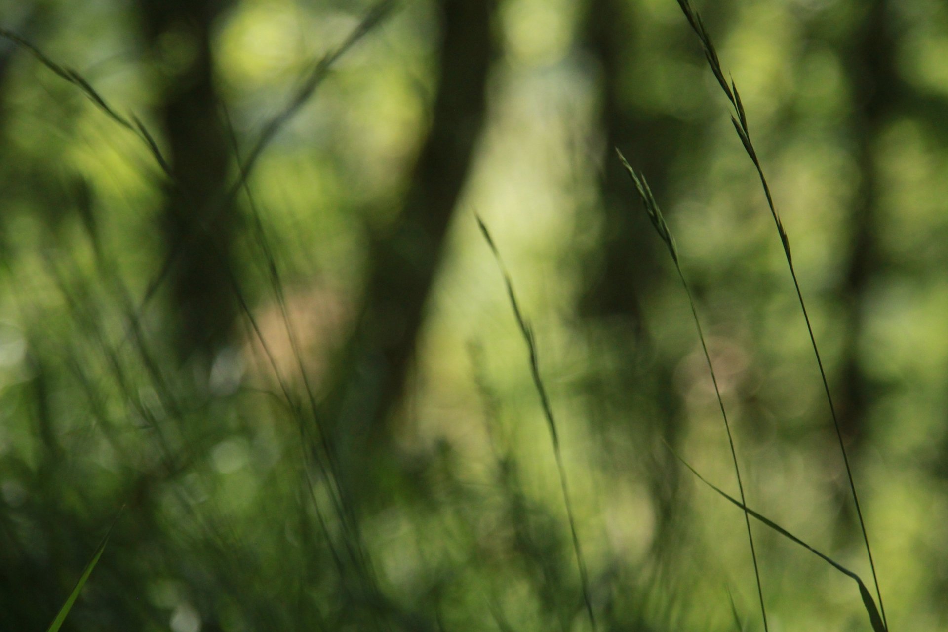 underwater photography of water bubbles