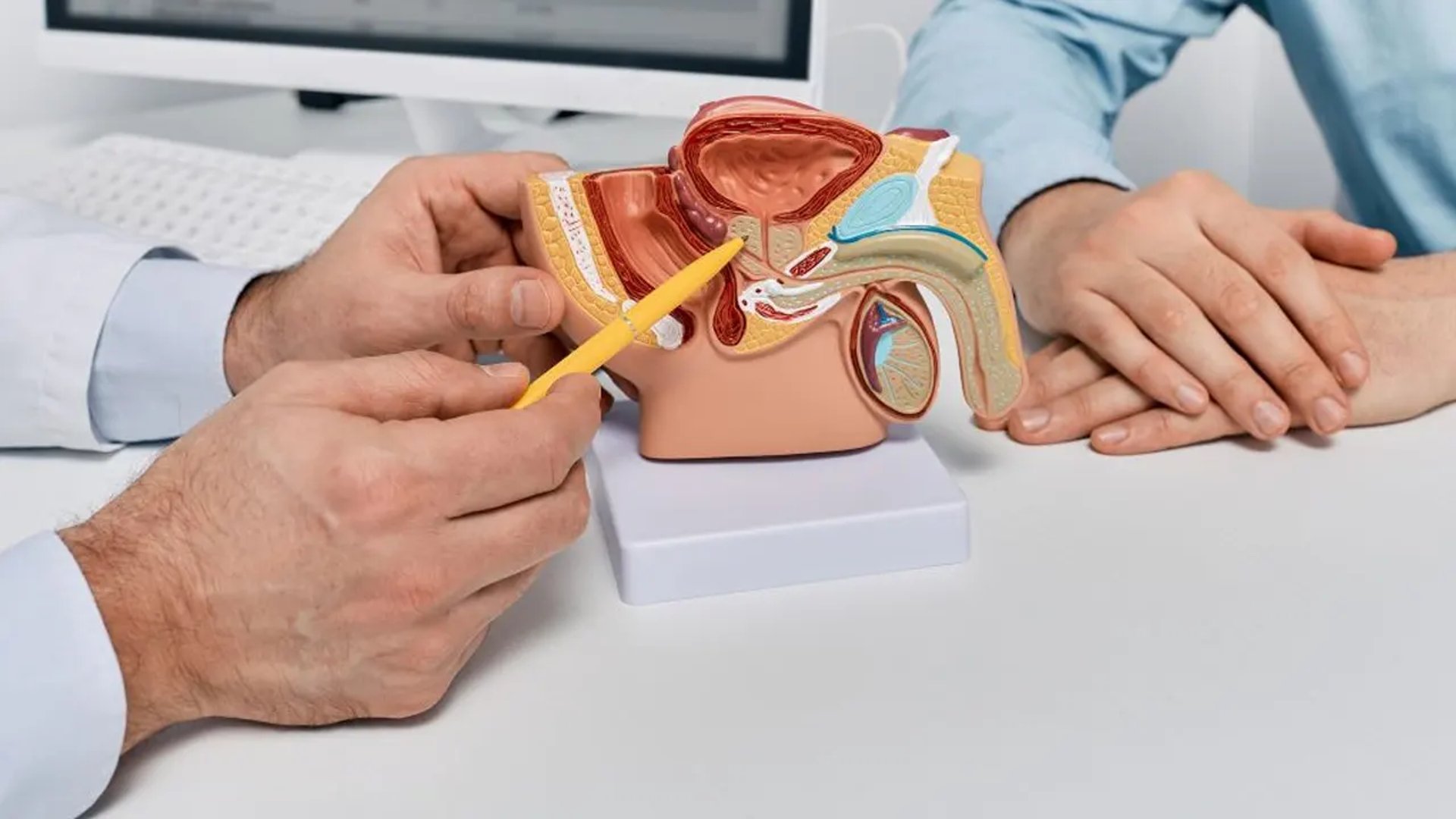 doctor holding red stethoscope