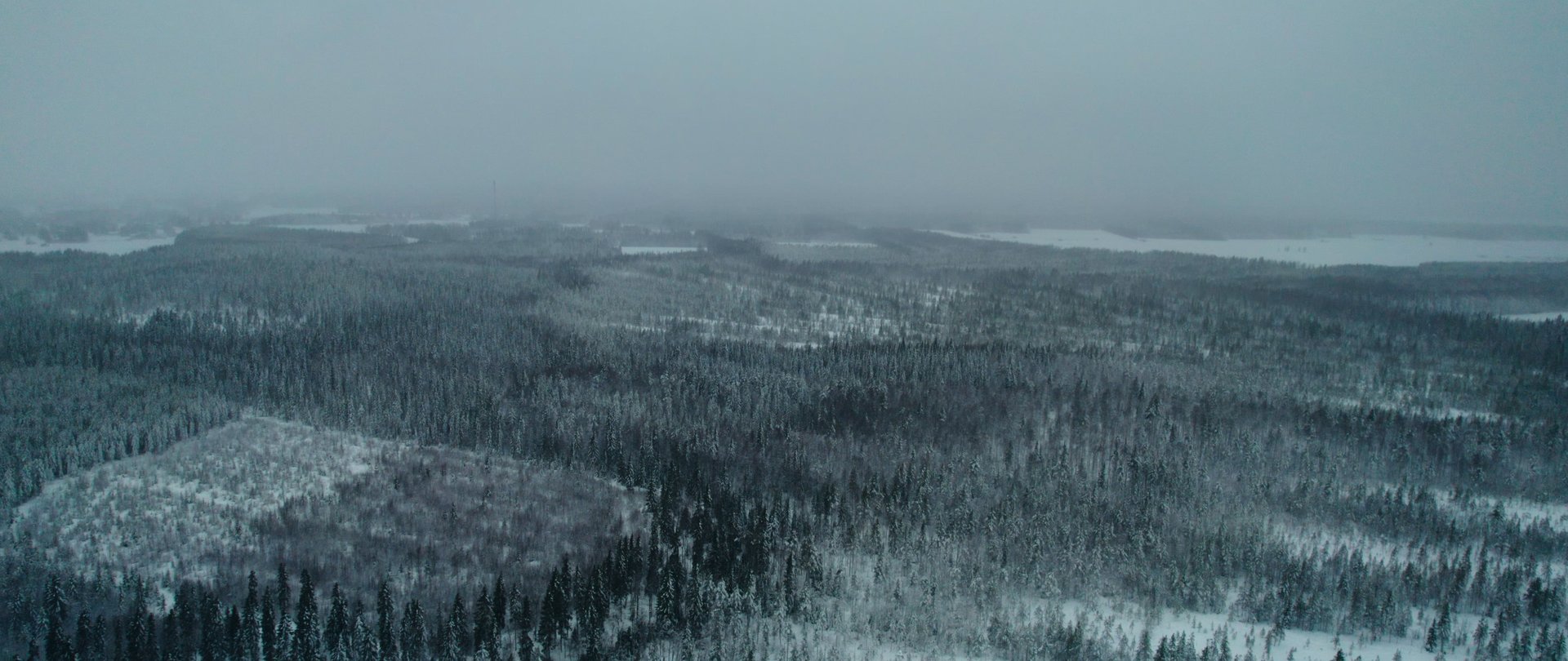 gray computer monitor