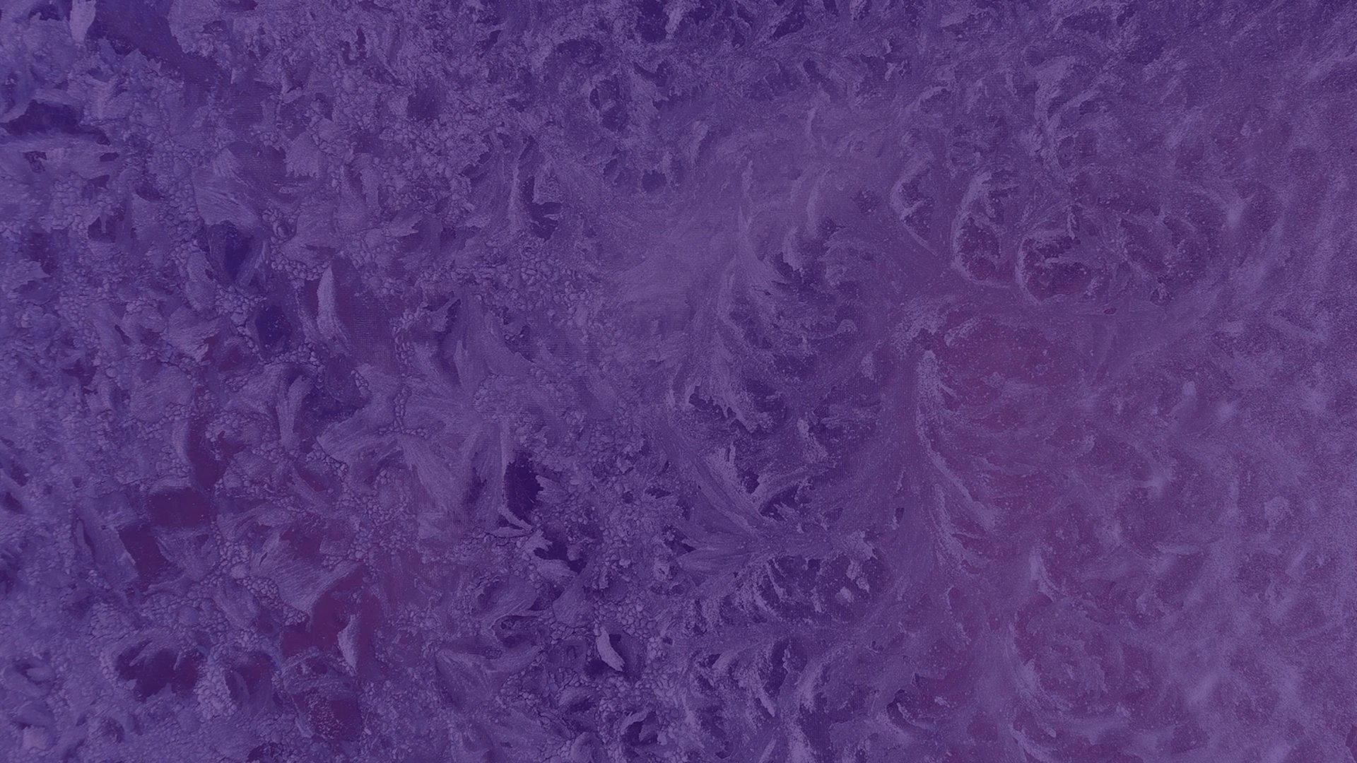  frost patterns in feathery, crystalline formations across a purple-tinted surface—evoking nature’s quiet artistry