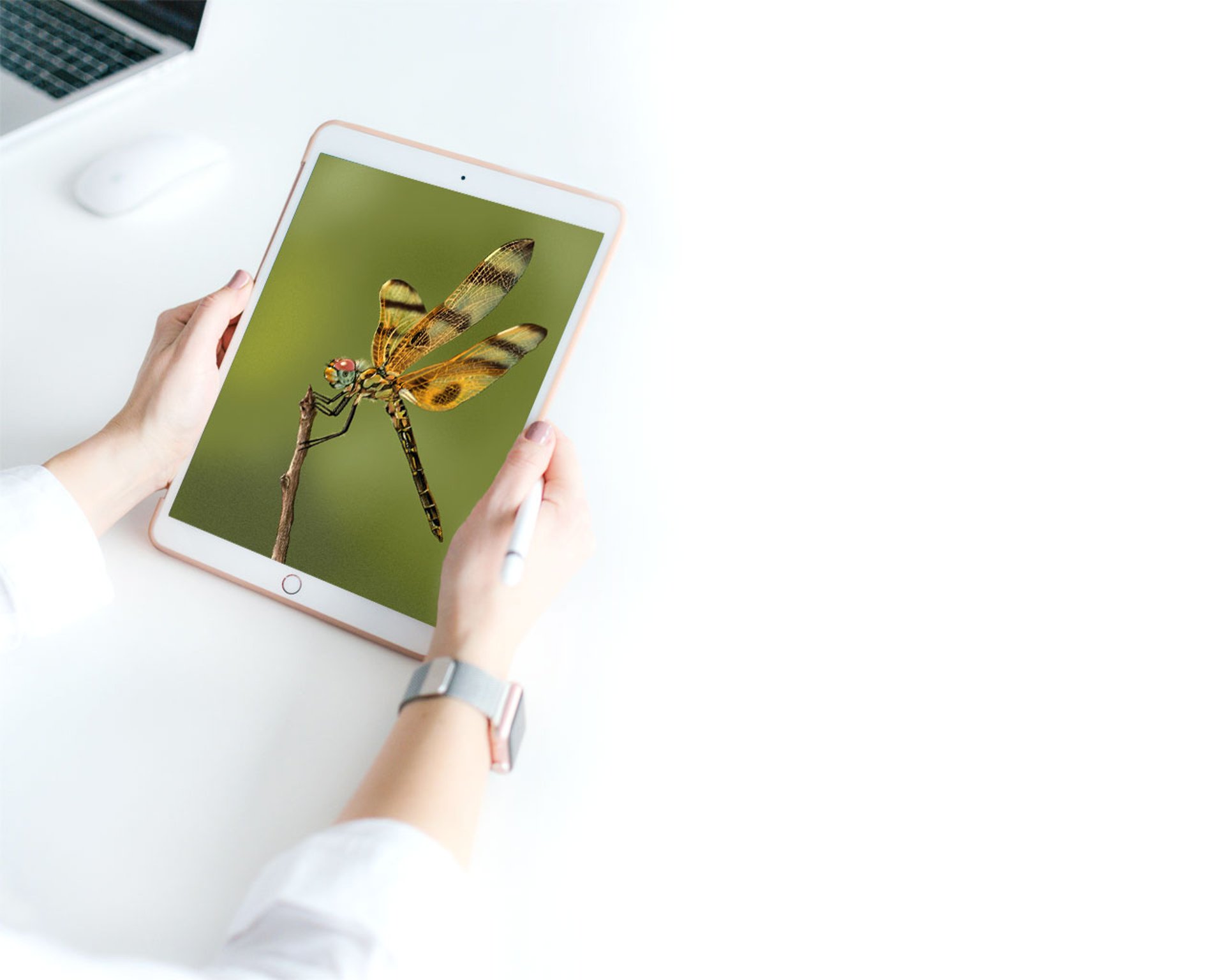 woman using gold iPad