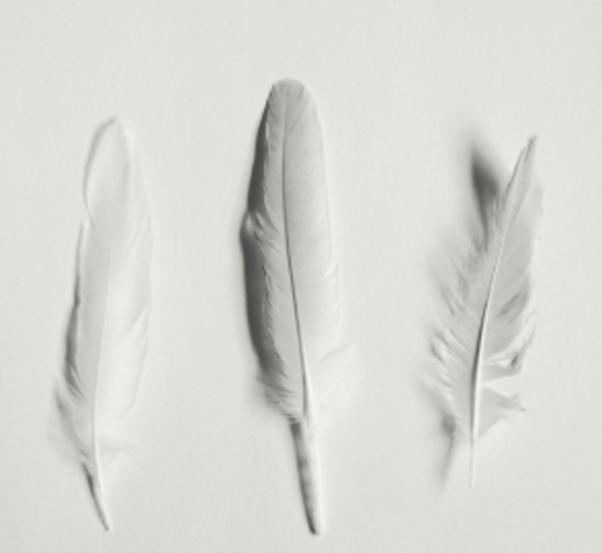 shuttlecock murah berkualitas tahan lama