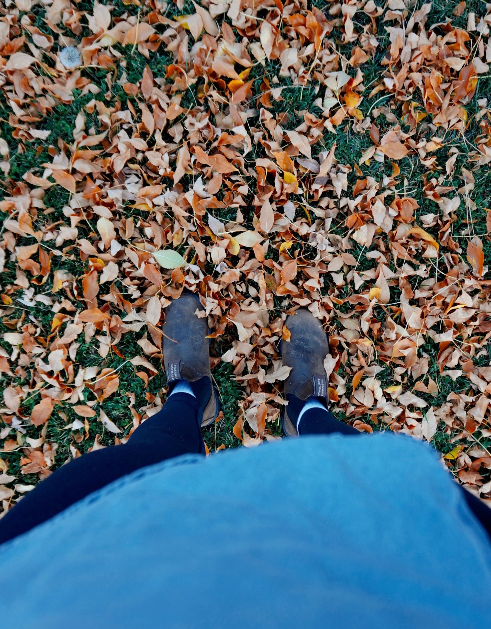 black blue and yellow textile