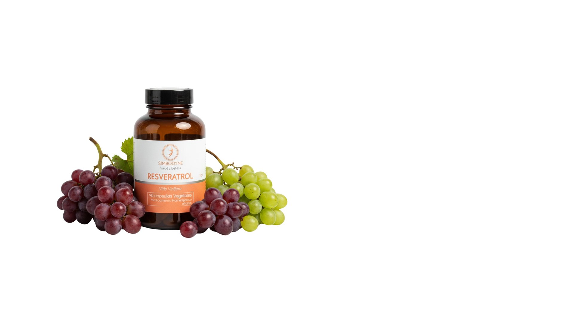 woman holding dried flower