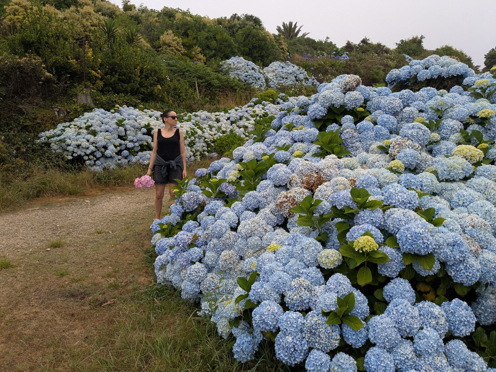 green and white flower in close up photography during daytime