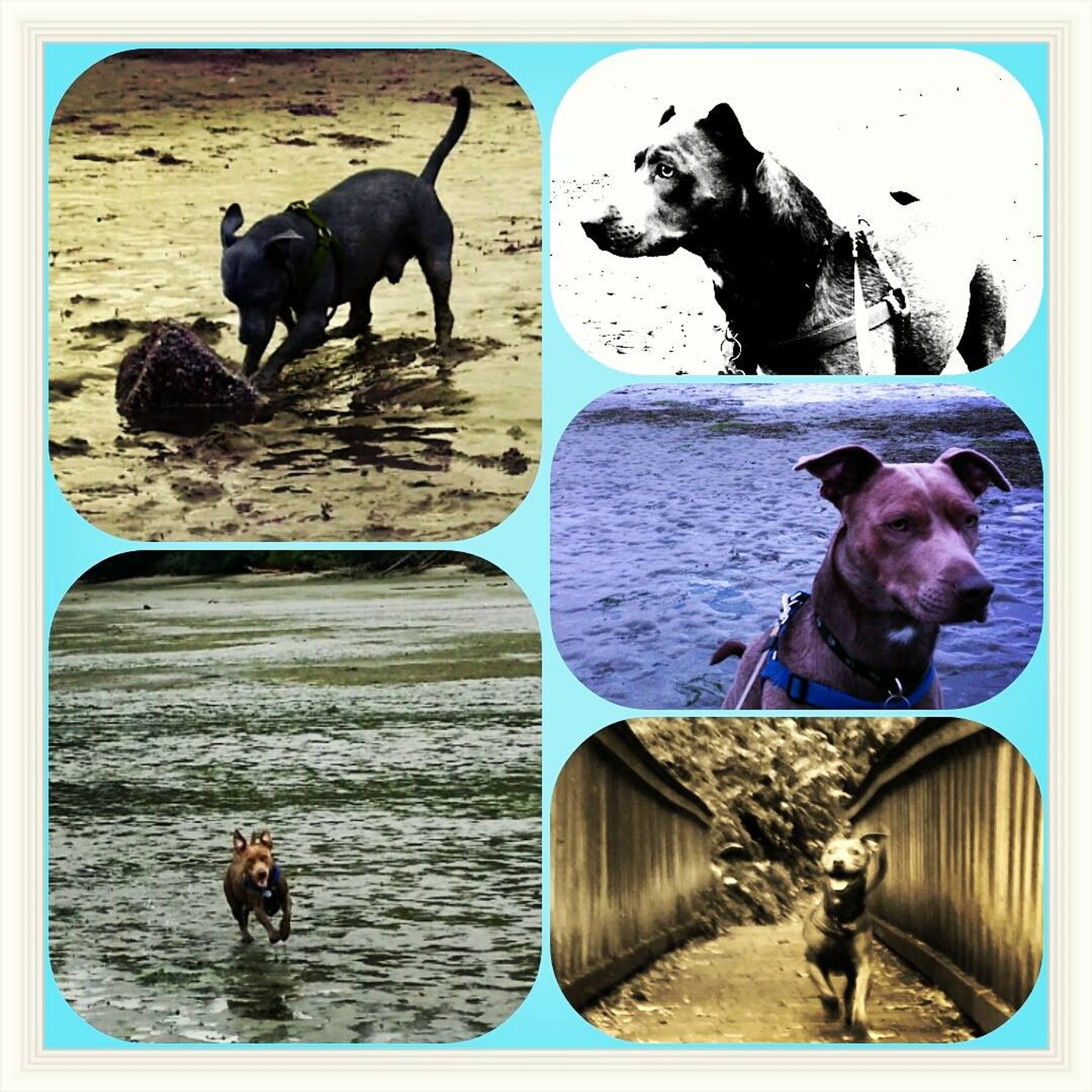 gray computer monitor