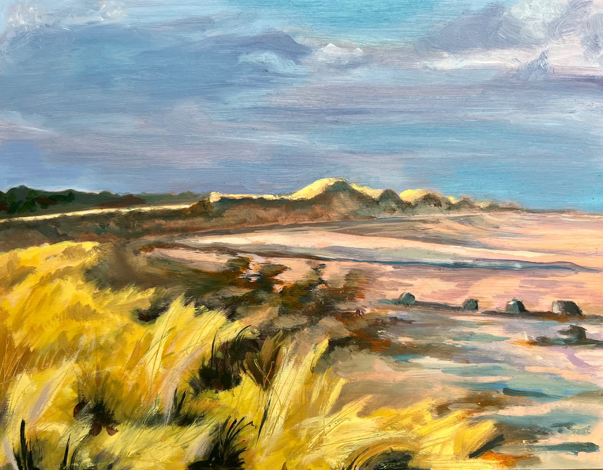 woman wearing yellow long-sleeved dress under white clouds and blue sky during daytime