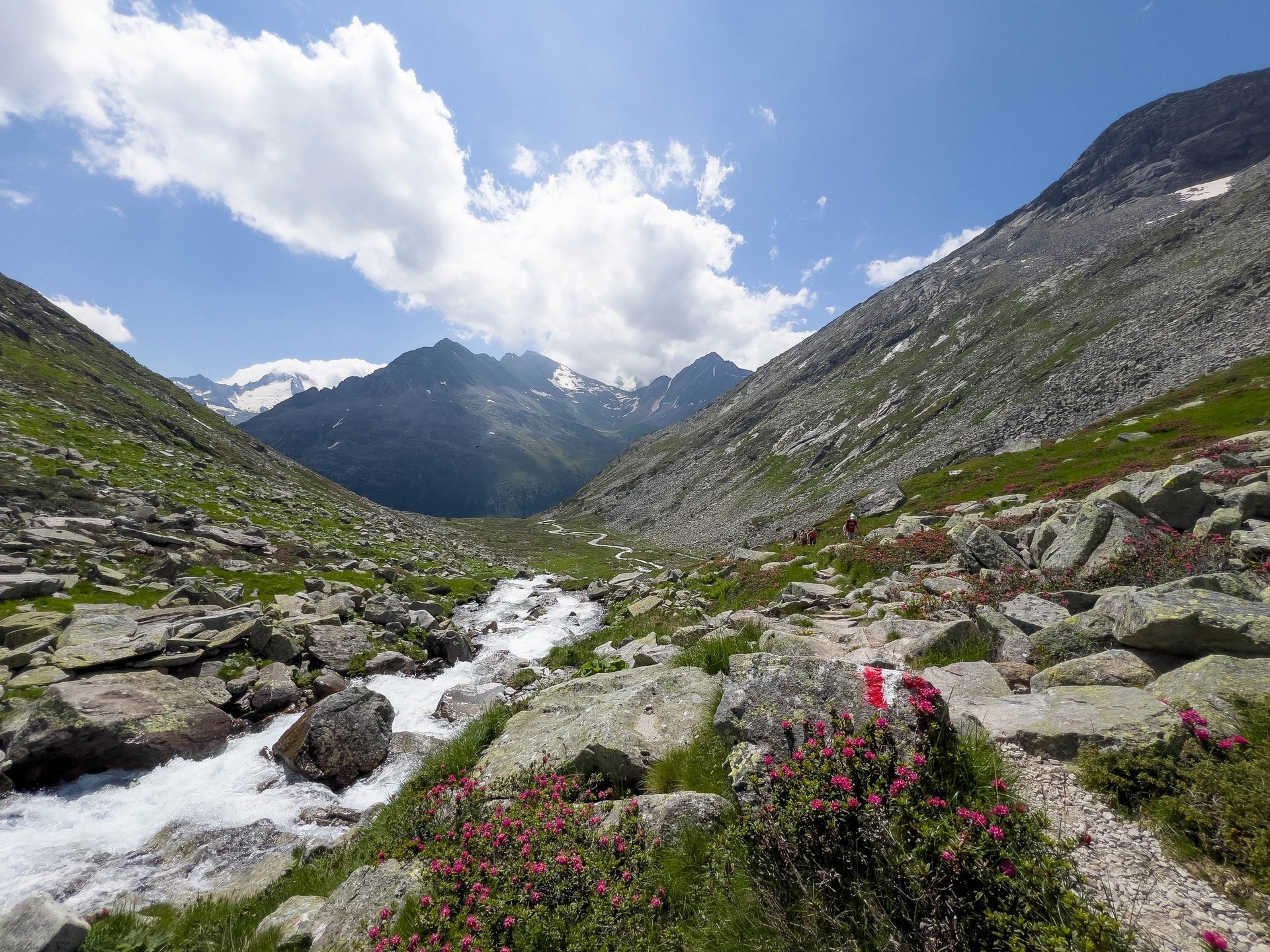 aerial photo of seashore