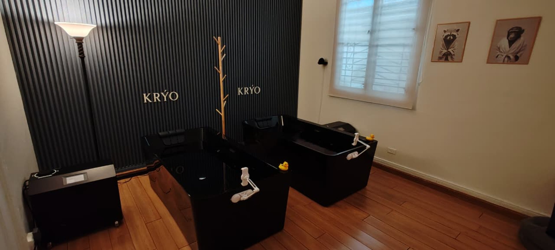 red and green flower petals on brown paper bag