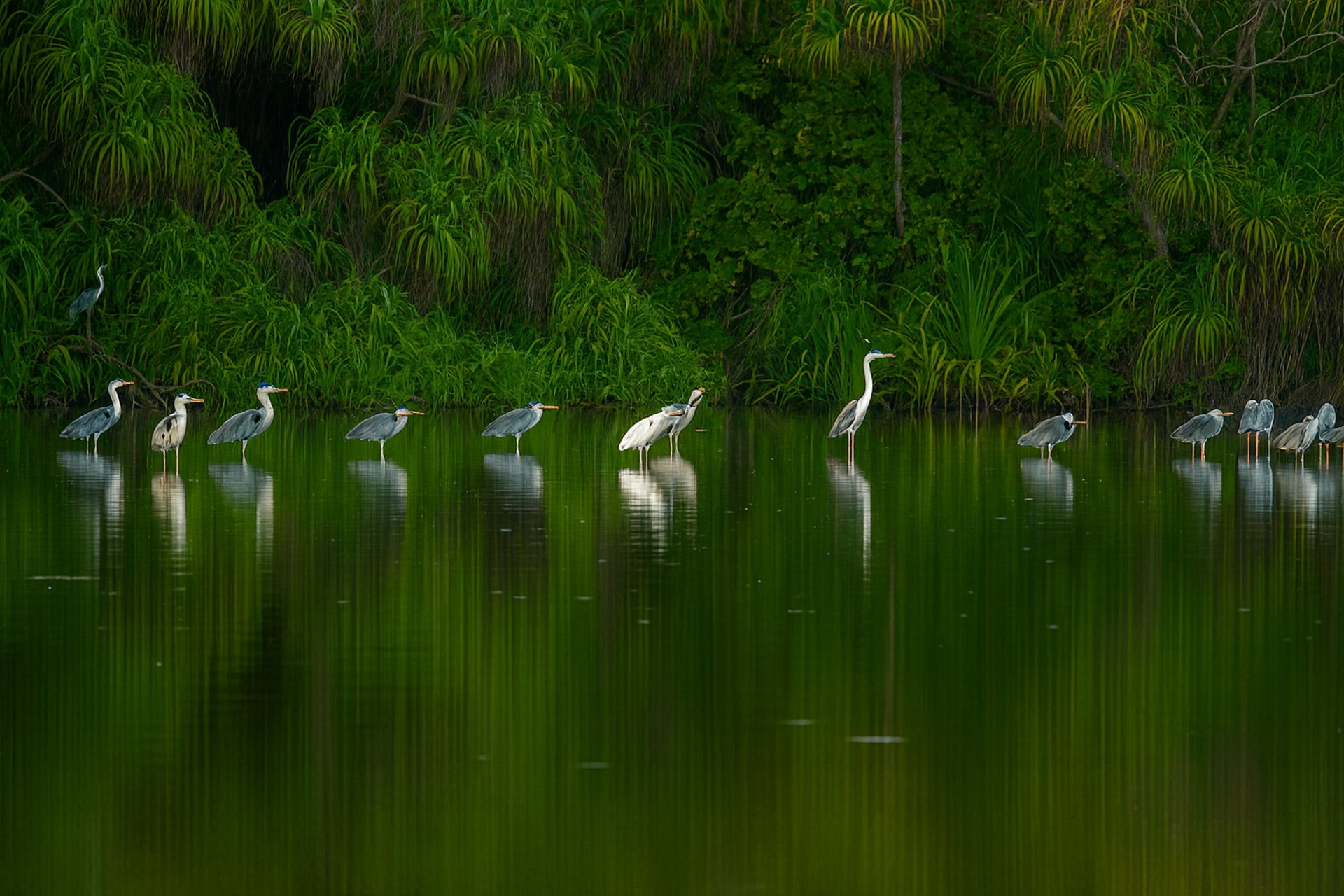 gray computer monitor