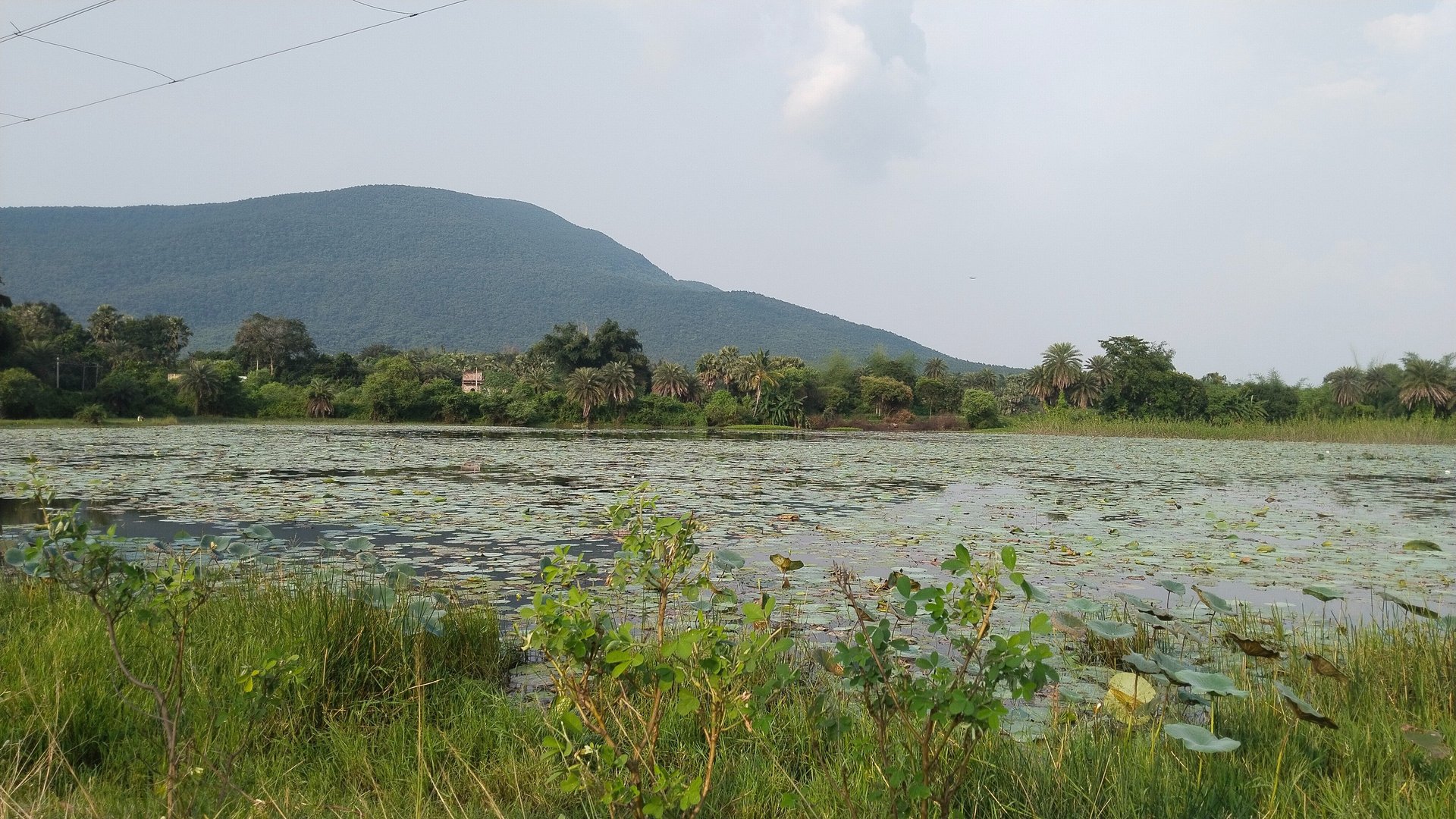 black and brown leather padded tub sofa