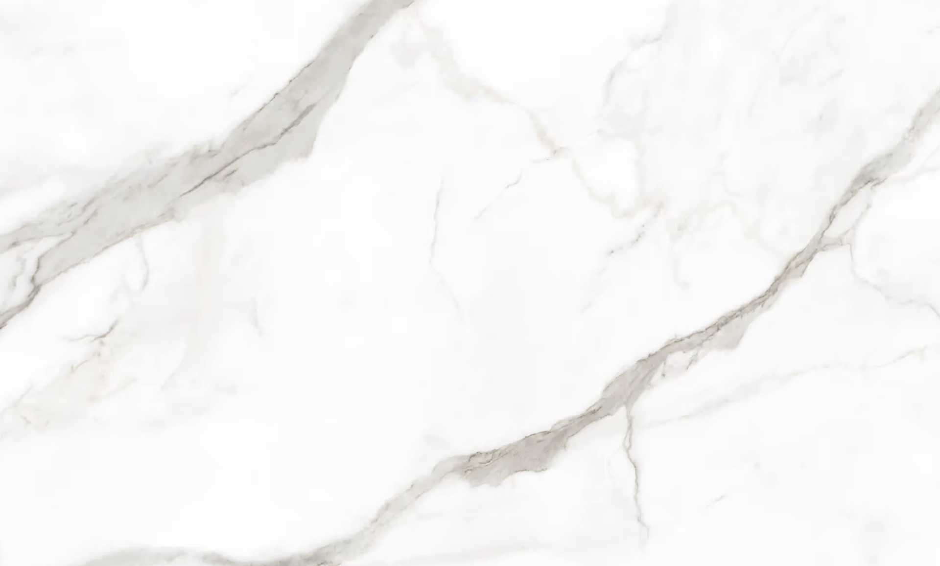 a black and white cat laying on a white surface