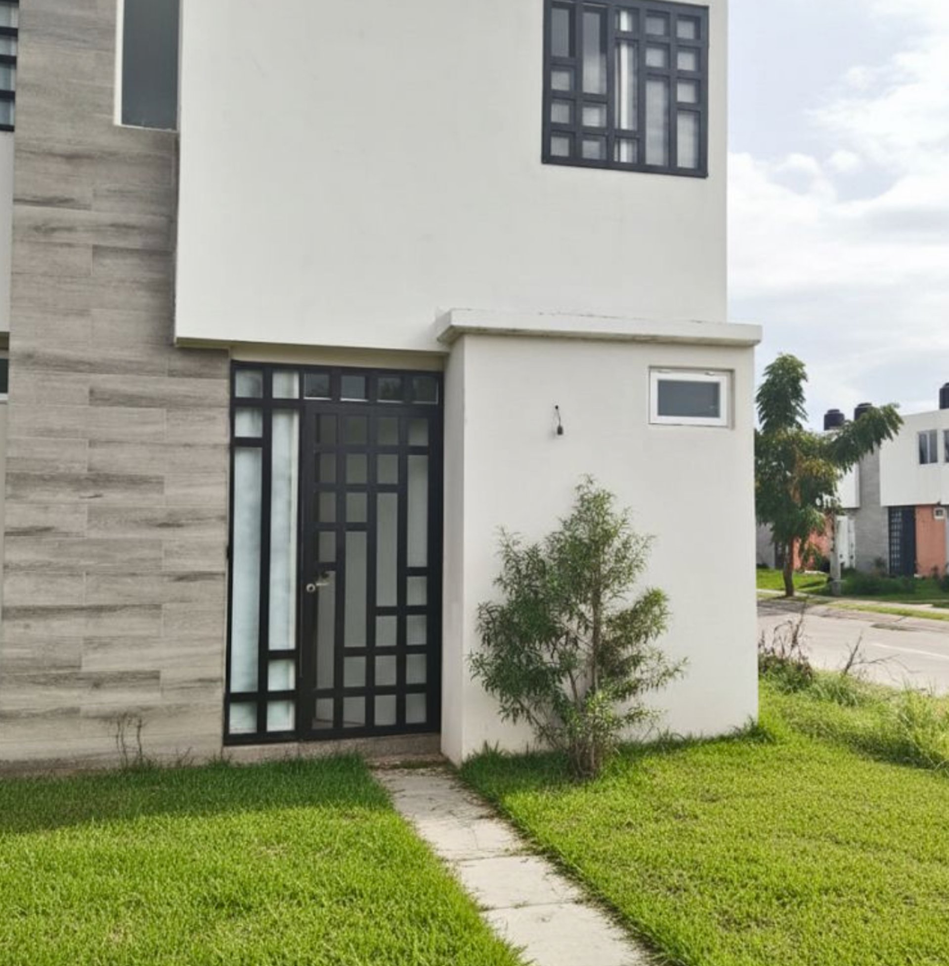 woman holding dried flower