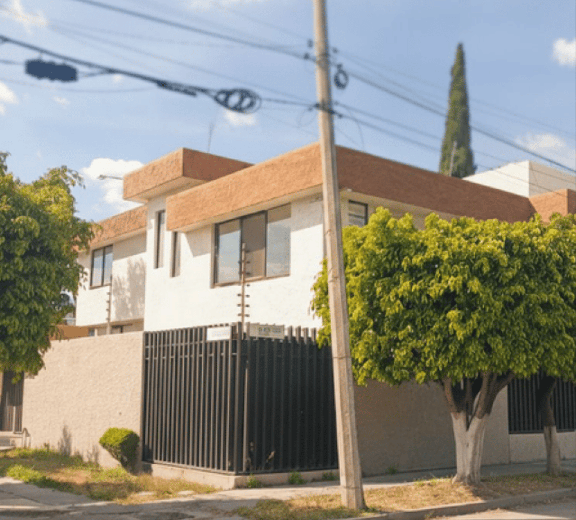 woman holding dried flower