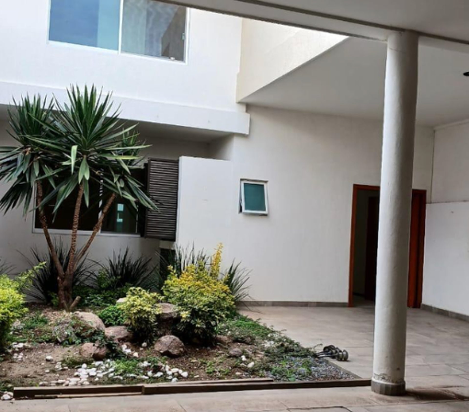 woman holding dried flower
