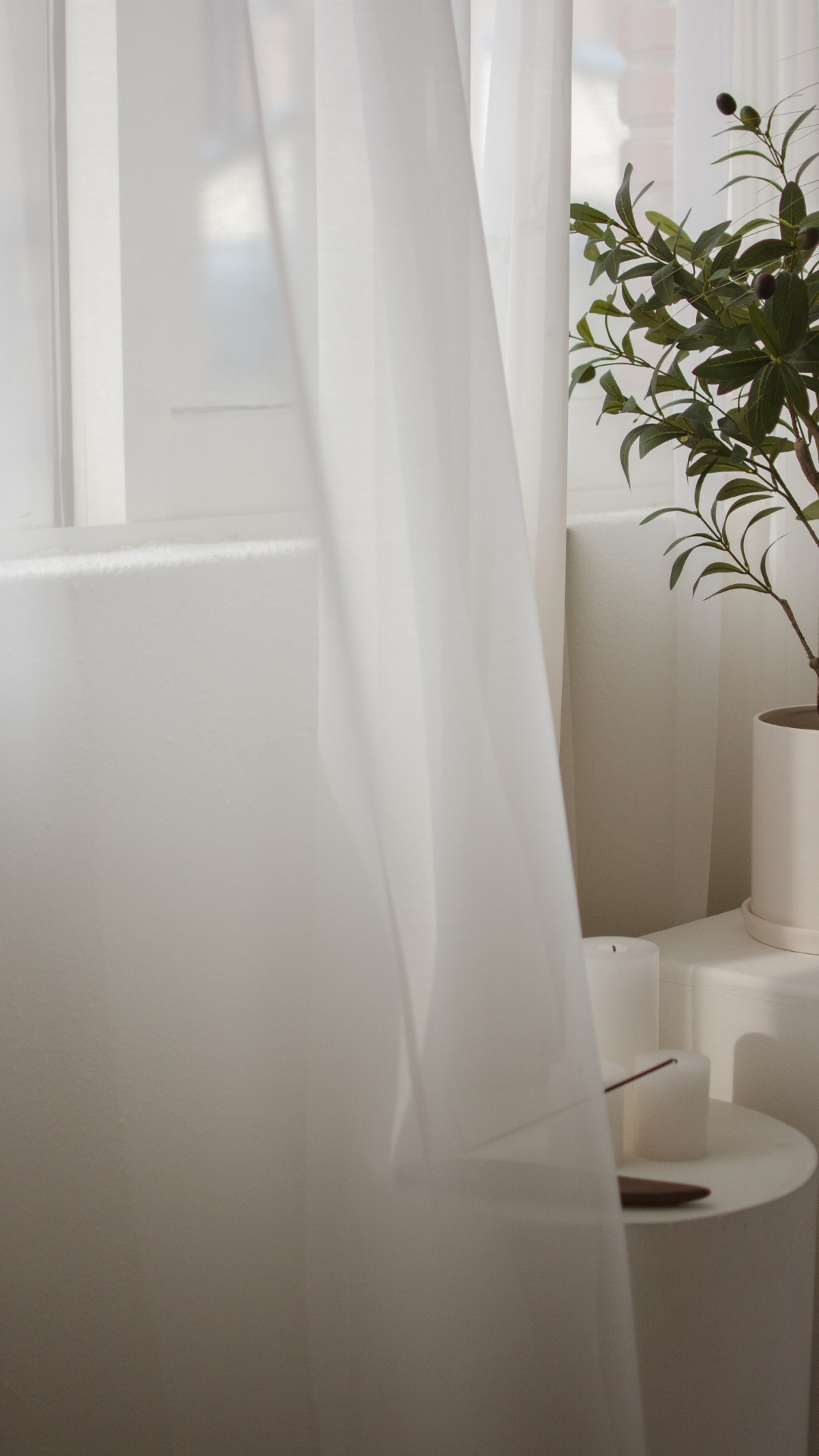 green plant in close up photography